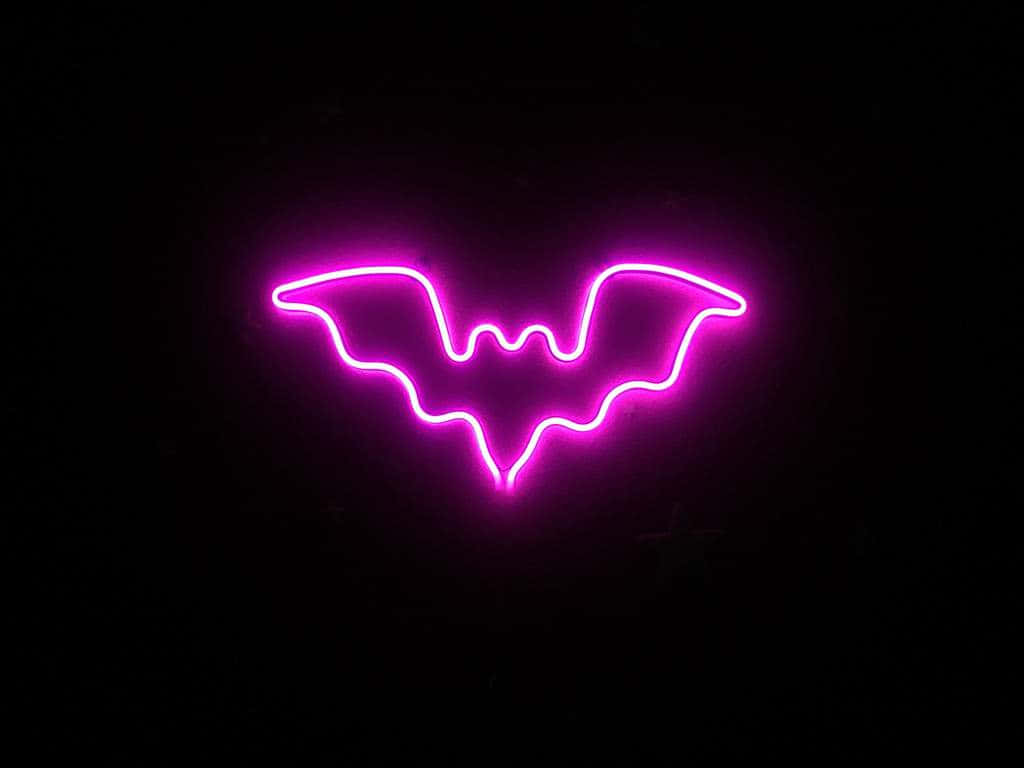 Neon Halloween 桌布 壁紙 — 一個發光的粉紅色霓虹蝙蝠標誌在漆黑的背景上明亮地閃耀。
