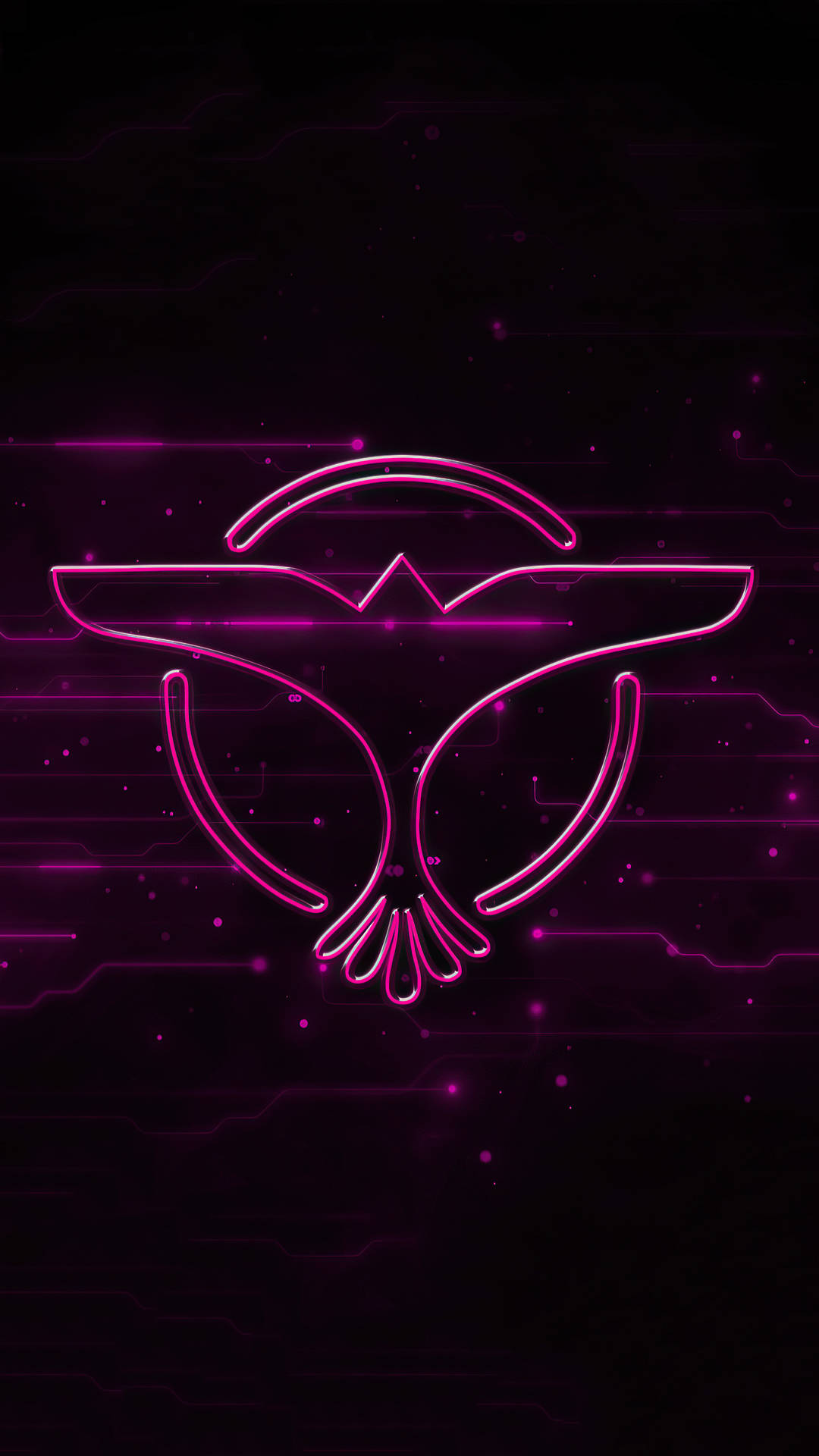 Tiesto 桌布 壁紙 — 一個發光的粉紅色霓虹貓頭鷹標誌漂浮在帶有浮動粒子的深色數位電路板背景上。