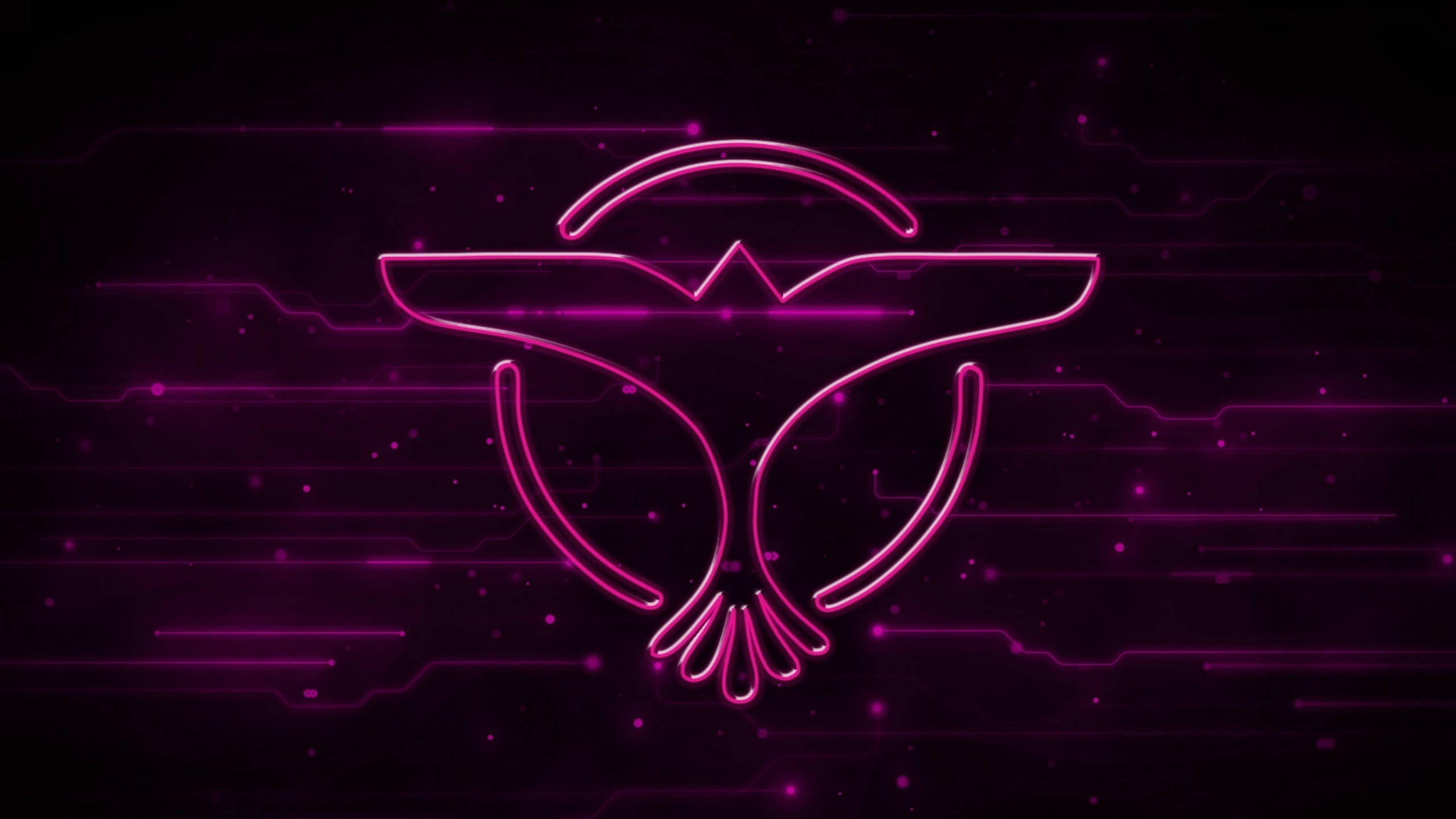 Tiesto 桌布 壁紙 — 一個發光的粉紅色霓虹貓頭鷹標誌漂浮在帶有浮動粒子的深色數位電路板背景上。