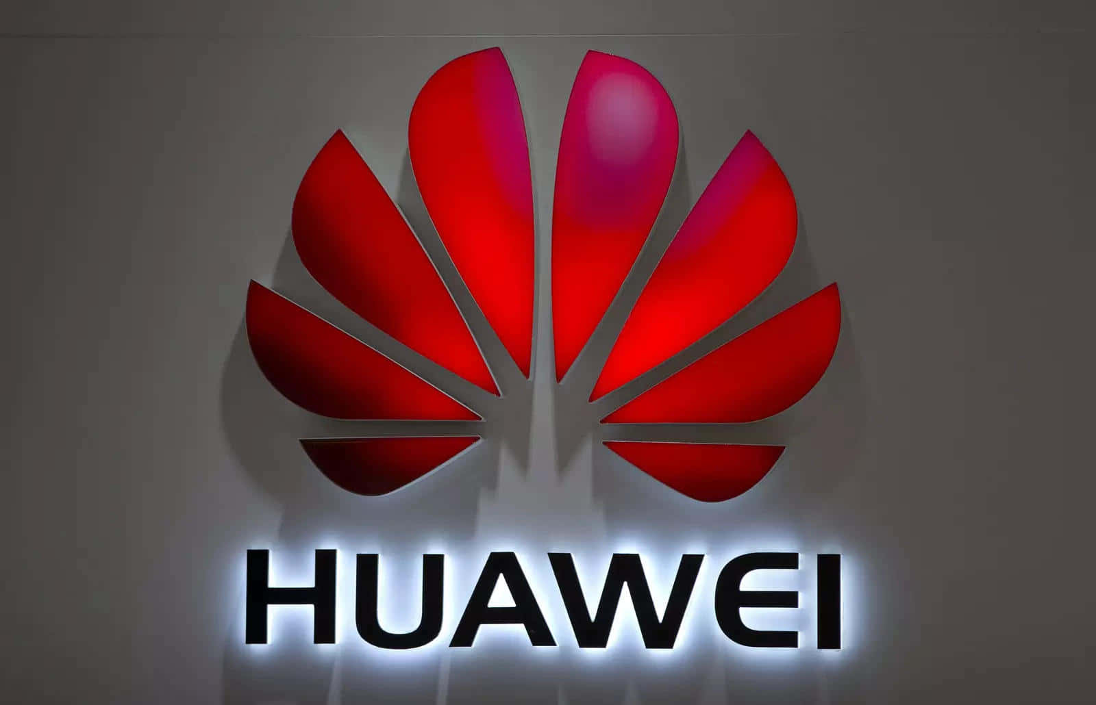 Huawei標誌，紅色花瓣和發光黑色文字，灰色牆壁。 — 華為 GIF 壁紙