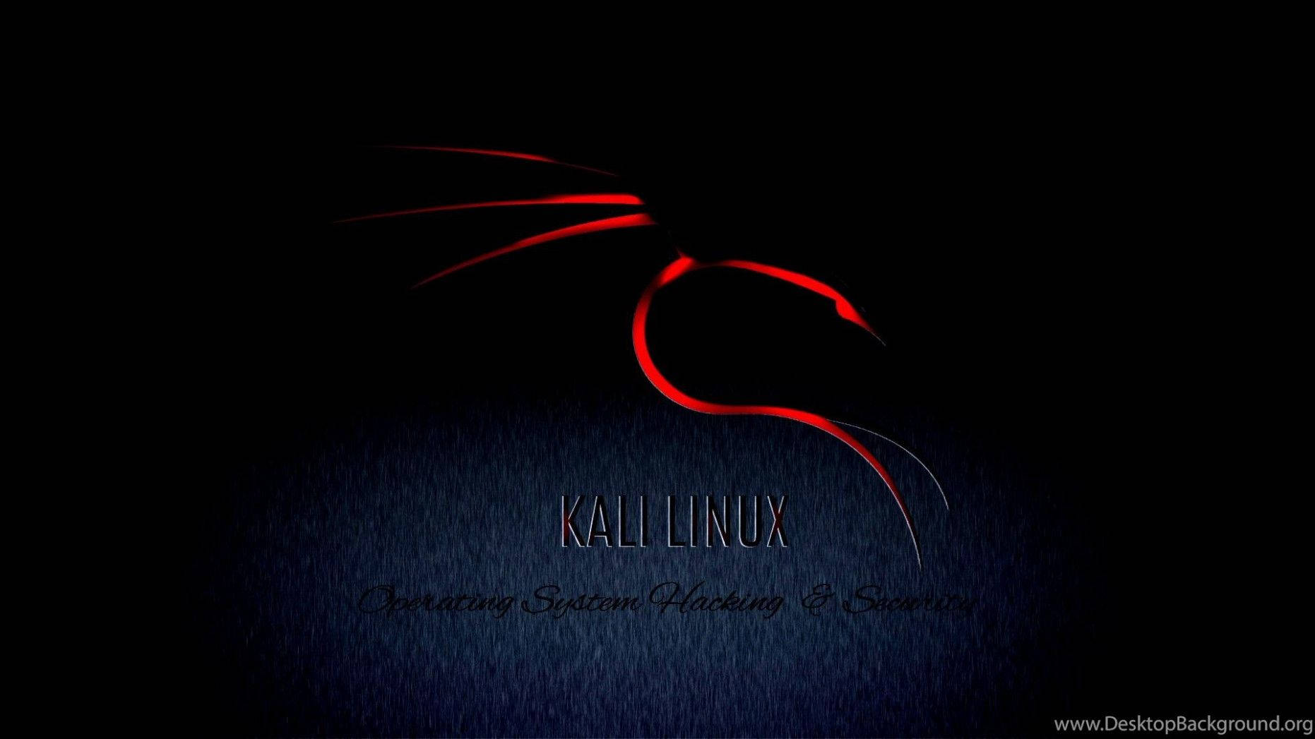 kali 桌布 壁紙 — 一個發光的紅色Kali Linux龍標誌從黑暗中浮現，背景是帶紋理的藍色下半部分和金屬文字。