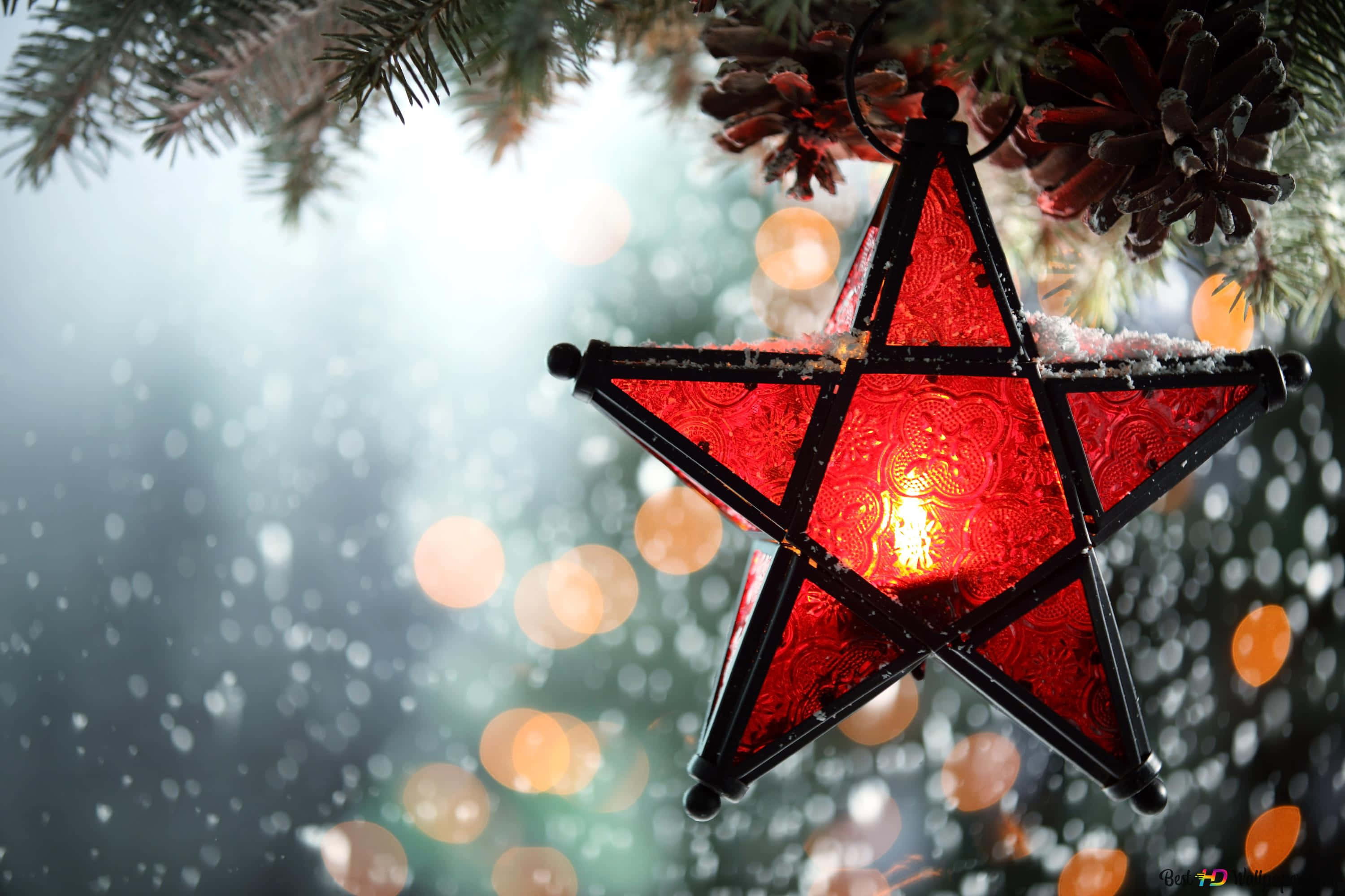 Christmas Star 桌布 壁紙 — 一個發光的紅色星星裝飾品，上面灑滿了雪，掛在松樹枝上，背景是散景照亮的冬日景色。