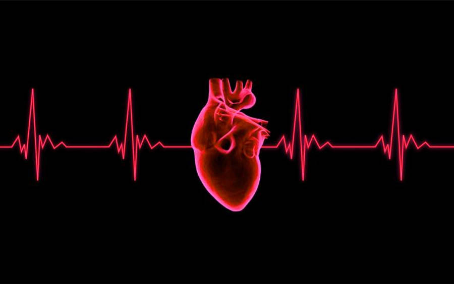 Heartbeat 桌布 壁紙 — 一個發光的紅色解剖心臟在黑色背景上跳動，並帶有匹配的心跳線。