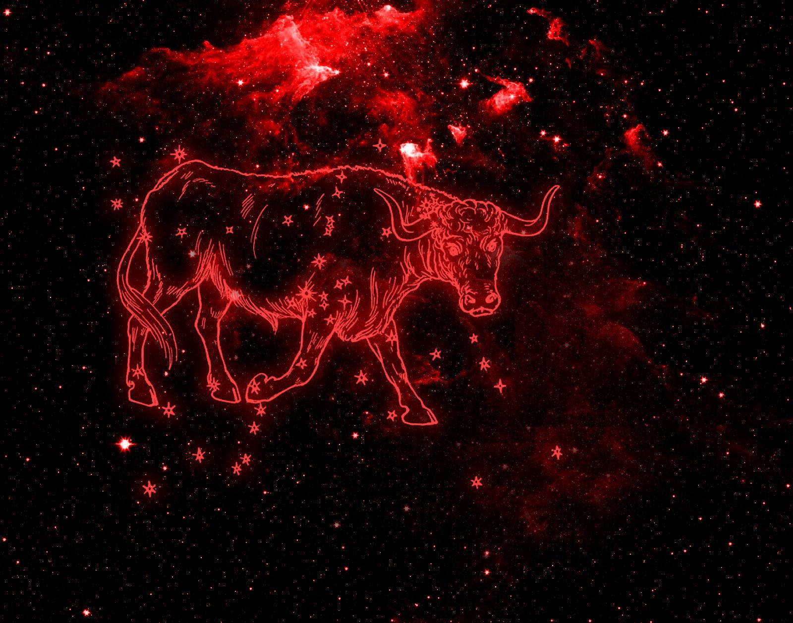 zodiac 桌布 壁紙 — 一個發光的紅色金牛座星座，以星星勾勒出輪廓，背景是宇宙星雲。