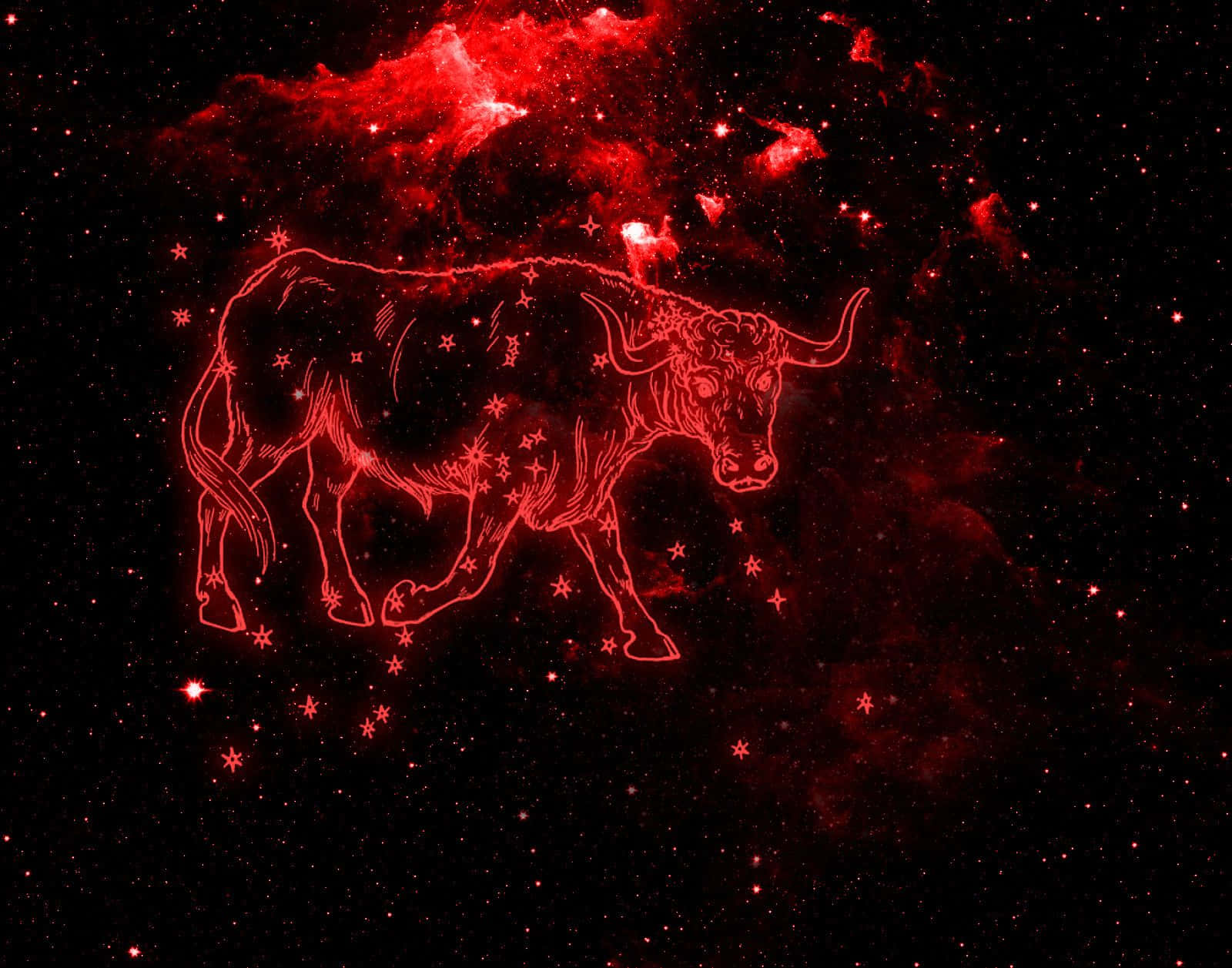 taurus 桌布 壁紙 — 一個發光的紅色金牛座星座，以星星勾勒出輪廓，背景是宇宙星雲。