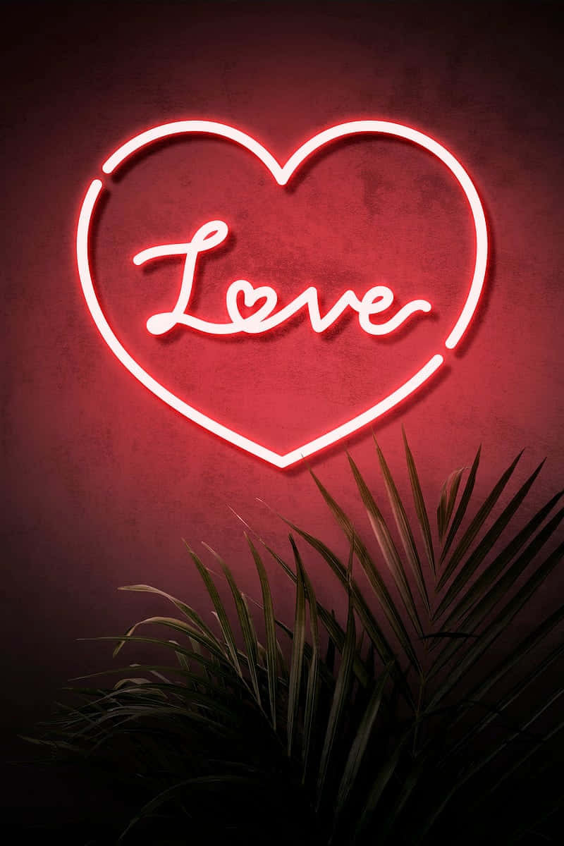 Pink Neon Aesthetic 桌布 壁紙 — 一個發光的紅色霓虹心形標誌，內有「Love」字樣，在黑暗的牆壁上投射出溫暖的光芒，上方是棕櫚葉的剪影。