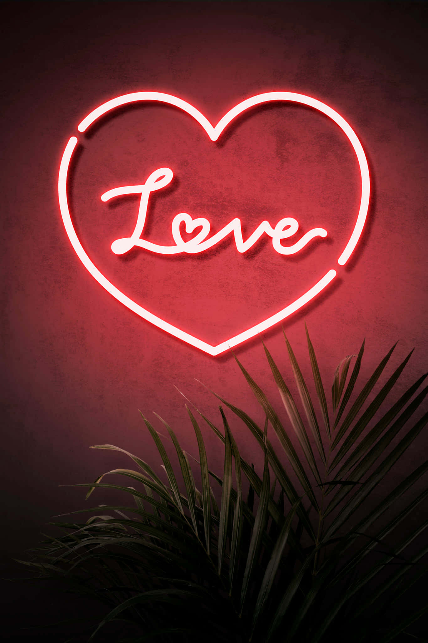 Light Up 桌布 壁紙 — 一個發光的紅色霓虹心形標誌，裡面有「Love」字樣，在深綠色棕櫚葉上方的紋理牆壁上投射出溫暖的光芒。