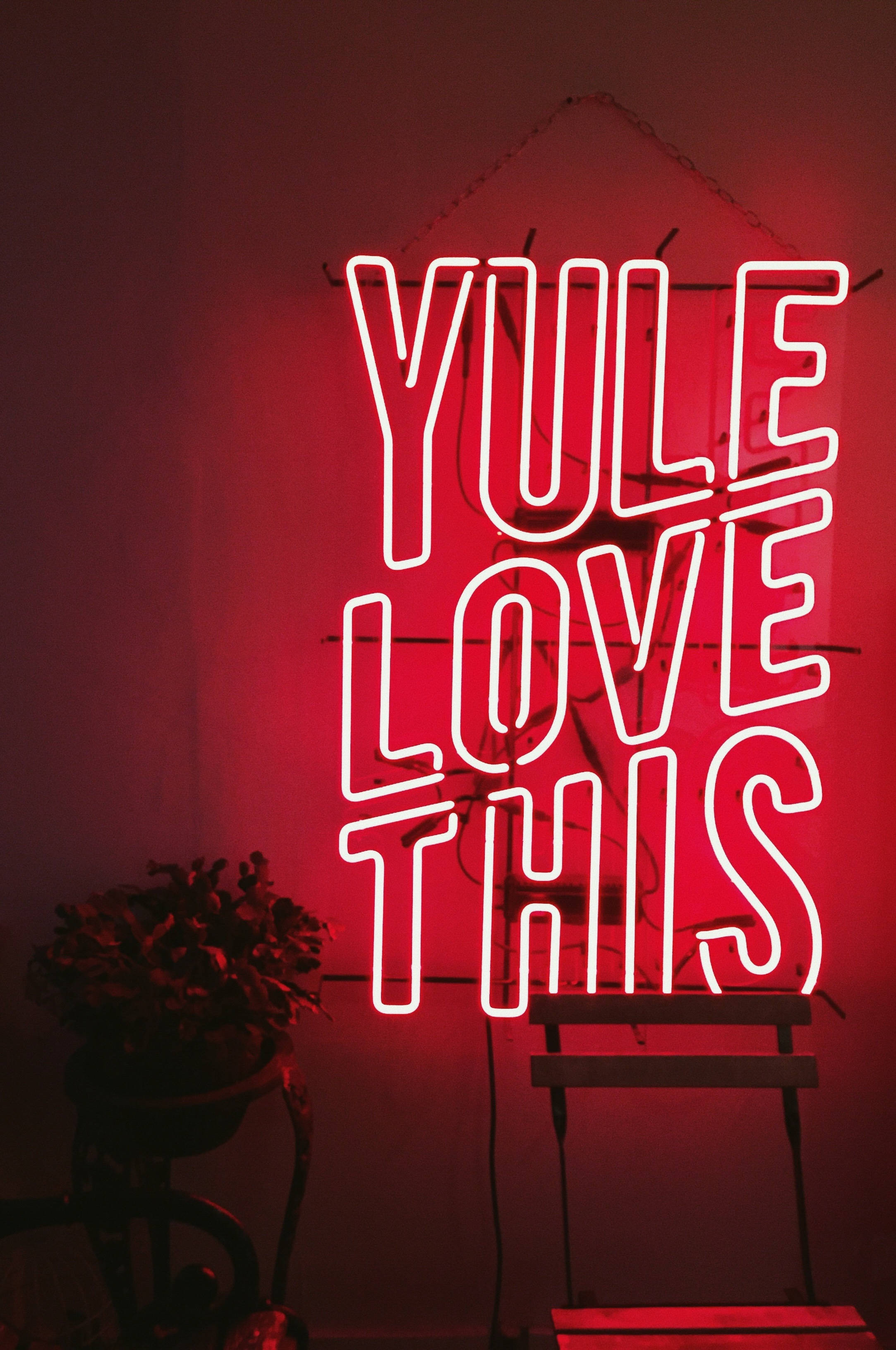 霓虹美學 桌布 壁紙 — 一個發光的紅色霓虹燈牌，上面寫著「YULE LOVE THIS」，在一個昏暗的房間裡投射出溫暖的光線，附近有一盆盆栽植物。