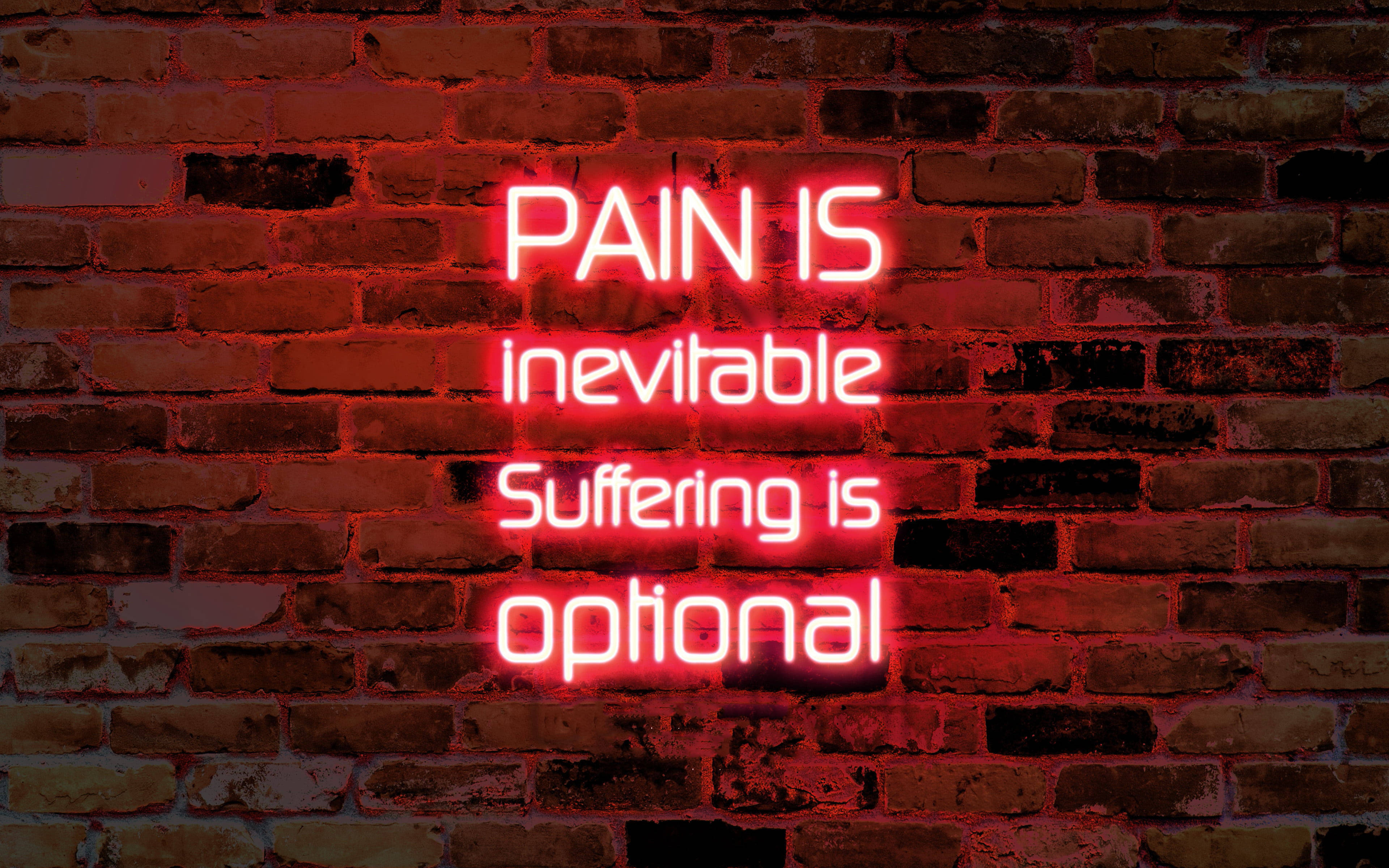 Pain Quotes 桌布 壁紙 — 一個發光的紅色霓虹燈牌，上面寫著「痛苦無可避免 受苦是選擇」，背景是紋理磚牆。