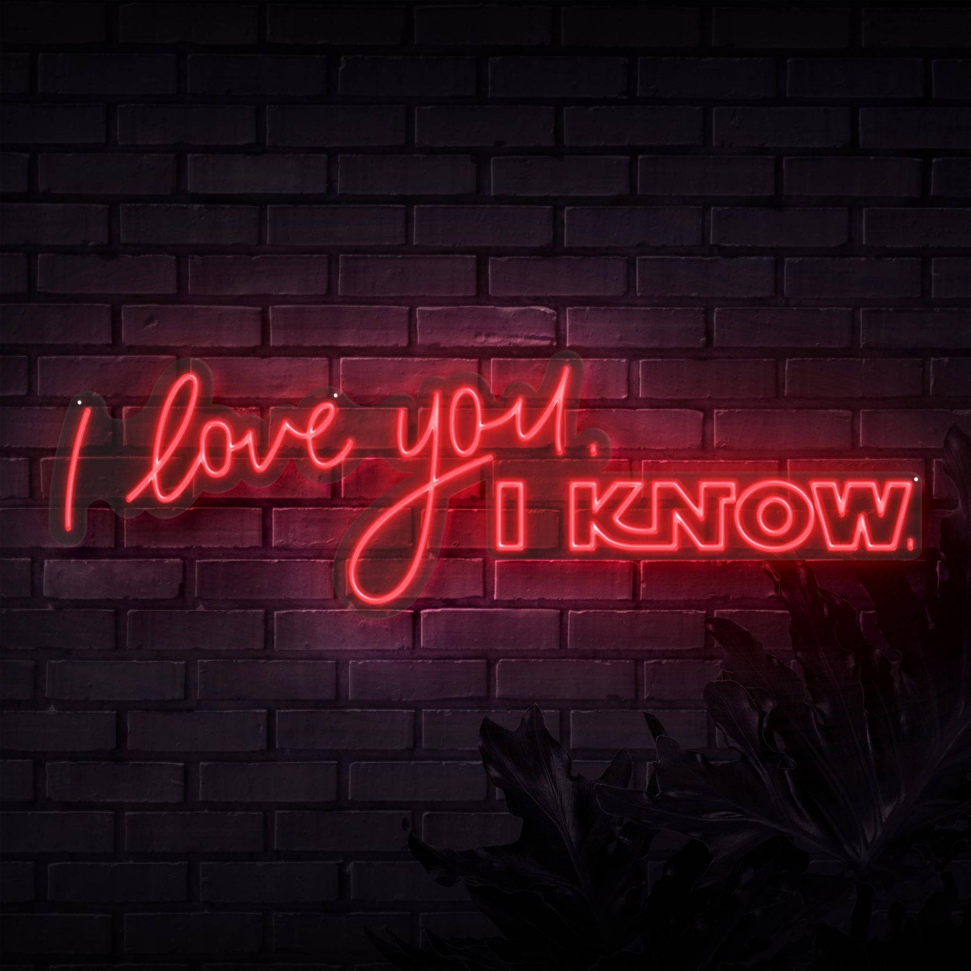 我愛你 桌布 壁紙 — 一個發光的紅色霓虹燈牌，上面寫著「I love you. I KNOW.」，在黑暗的磚牆上投射出溫暖的光芒，下方有剪影般的樹葉。