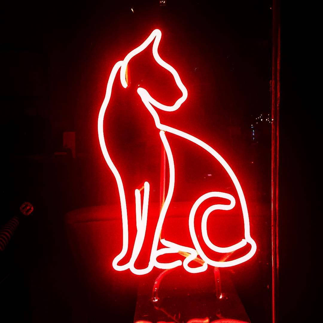 紅色動圖 桌布 壁紙 — 一個發光的紅色霓虹燈牌，形狀像坐著的貓剪影，在夜間照亮黑暗的窗戶。
