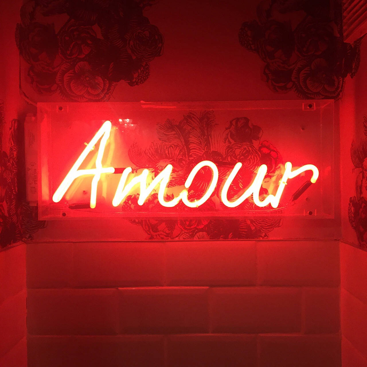 紅色動圖 桌布 壁紙 — 一個發光的紅色霓虹燈牌，拼出「Amour」，在舒適的角落裡將溫暖的光線投射在花卉壁紙和瓷磚牆上。