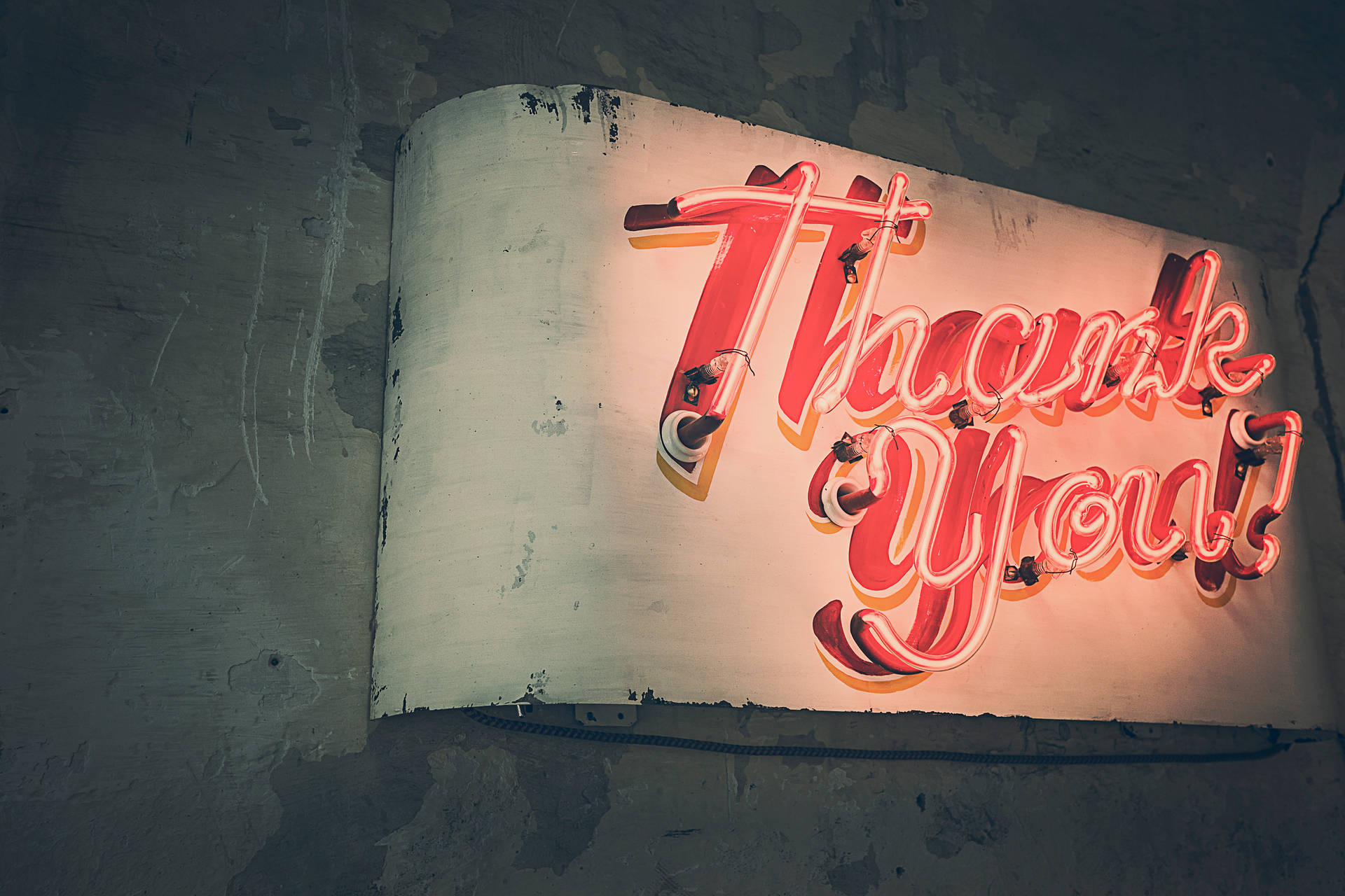一個紅色霓虹燈牌，上面寫著「Thank You」，安裝在粗糙的混凝土牆上。