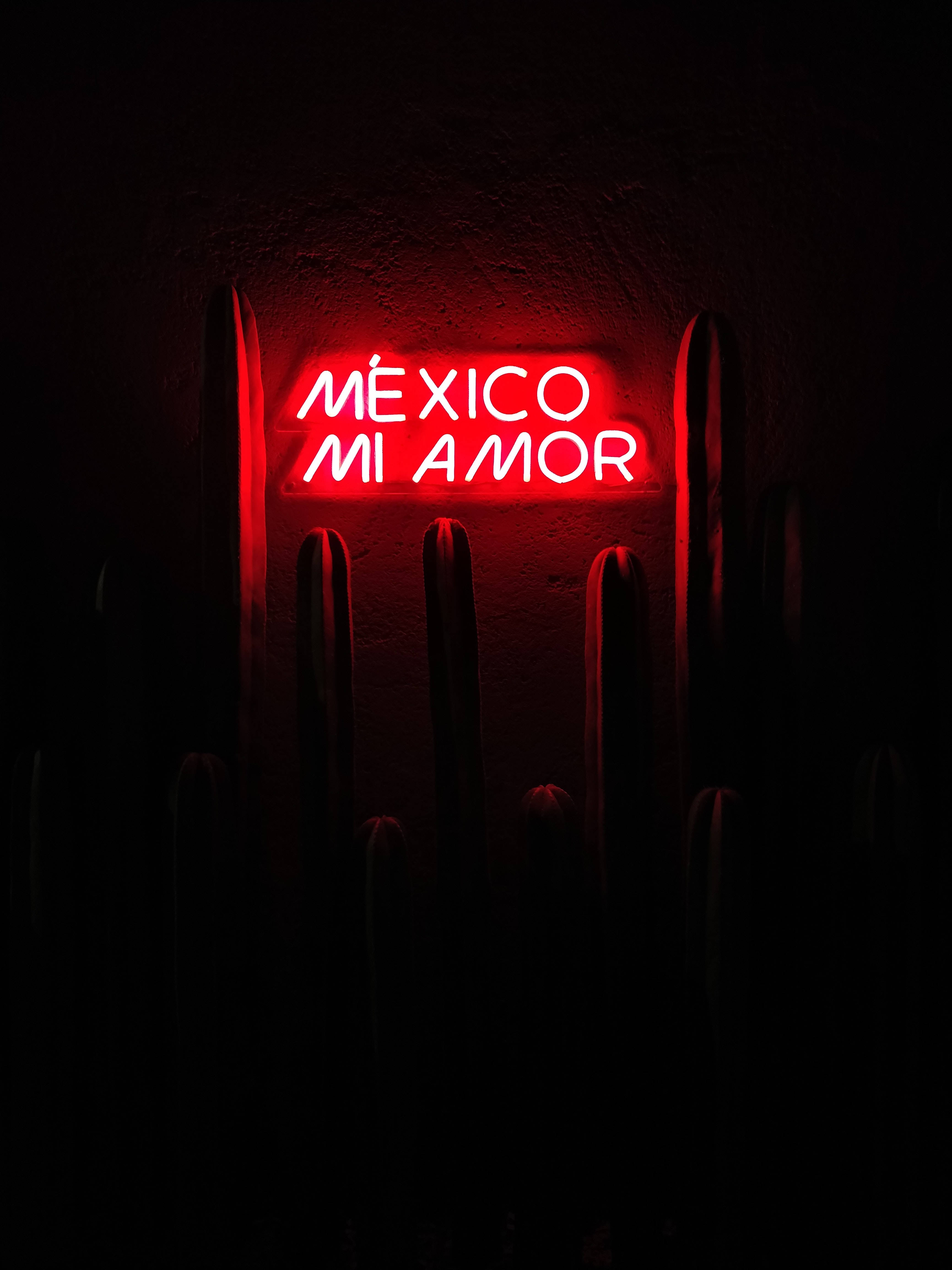 暗紅色 桌布 壁紙 — 一個發光的紅色霓虹燈牌寫著 Mexico Mi Amor，在紋理牆壁上投射出溫暖的光芒，周圍環繞著黑暗的仙人掌剪影。