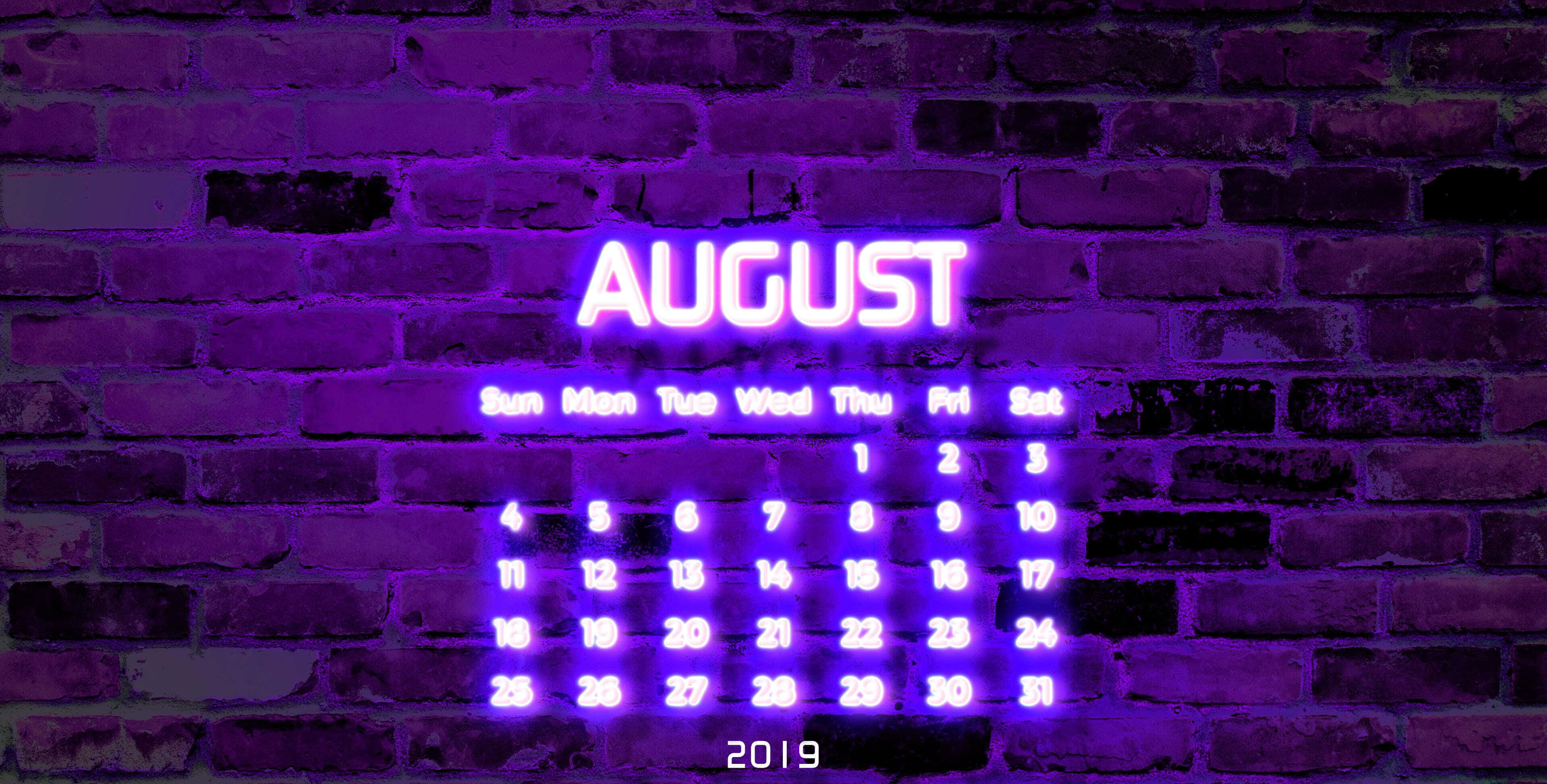August 桌布 壁紙 — 一個發光的紫色霓虹燈2019年8月日曆，安裝在帶有鮮豔電燈的紋理磚牆上。