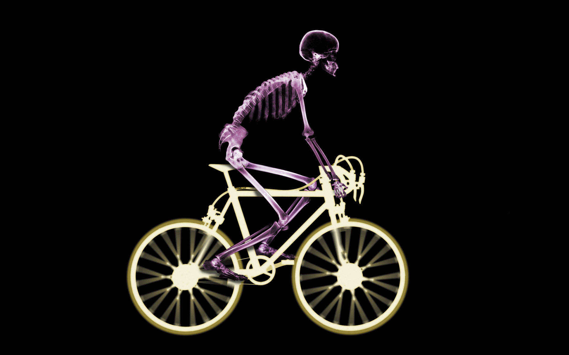 Bicycle 桌布 壁紙 — 一個發光的紫色骷髏人物騎著一輛發光的黃色腳踏車，背景是純黑色。