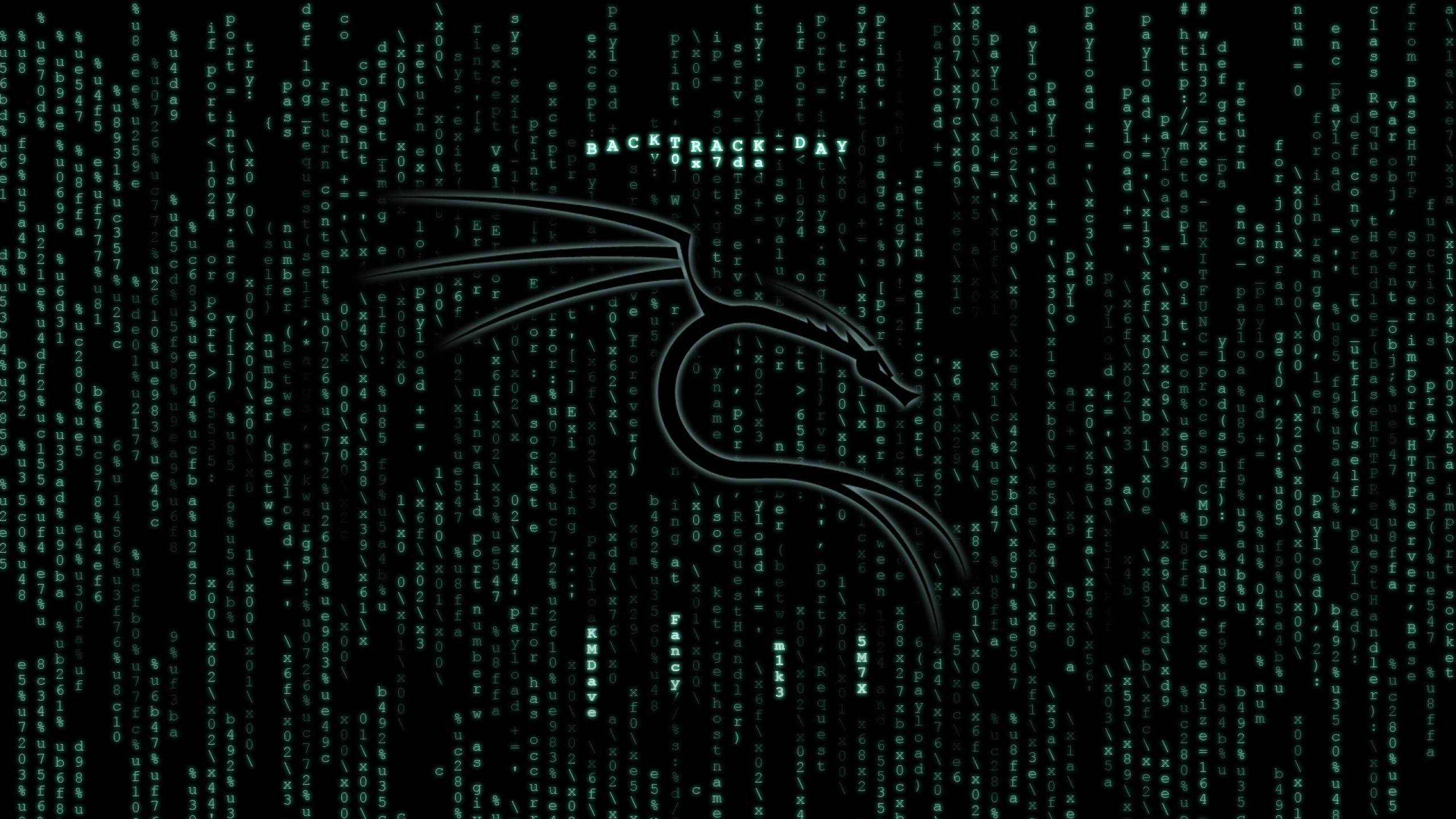 黑客 桌布 壁紙 — 一個發光的綠色Linux企鵝標誌從黑色背景上落下的數位代碼中浮現。