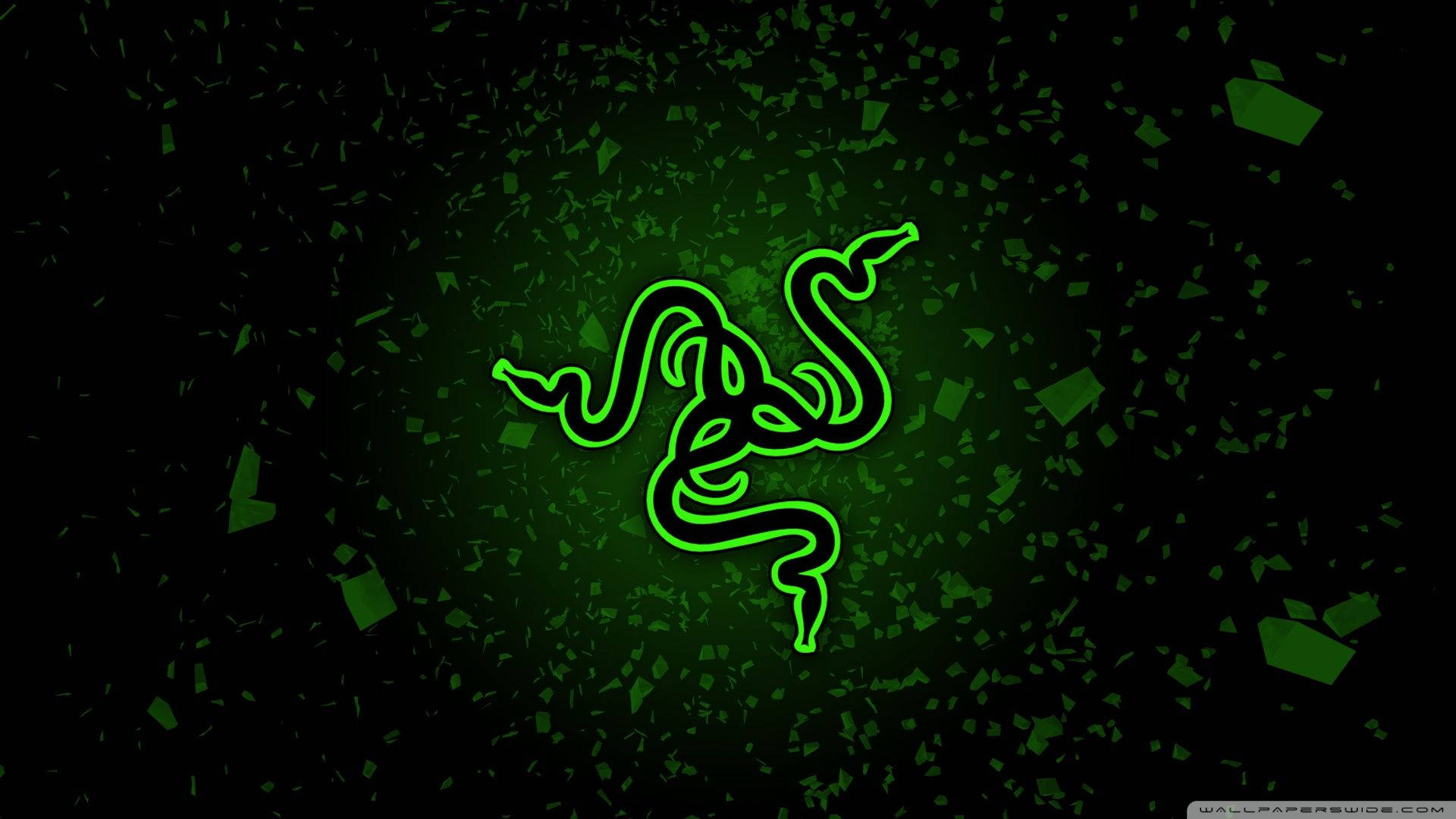 雷蛇 桌布 壁紙 — 一個發光的綠色Razer標誌，周圍環繞著漂浮的綠色碎片，背景為黑色。