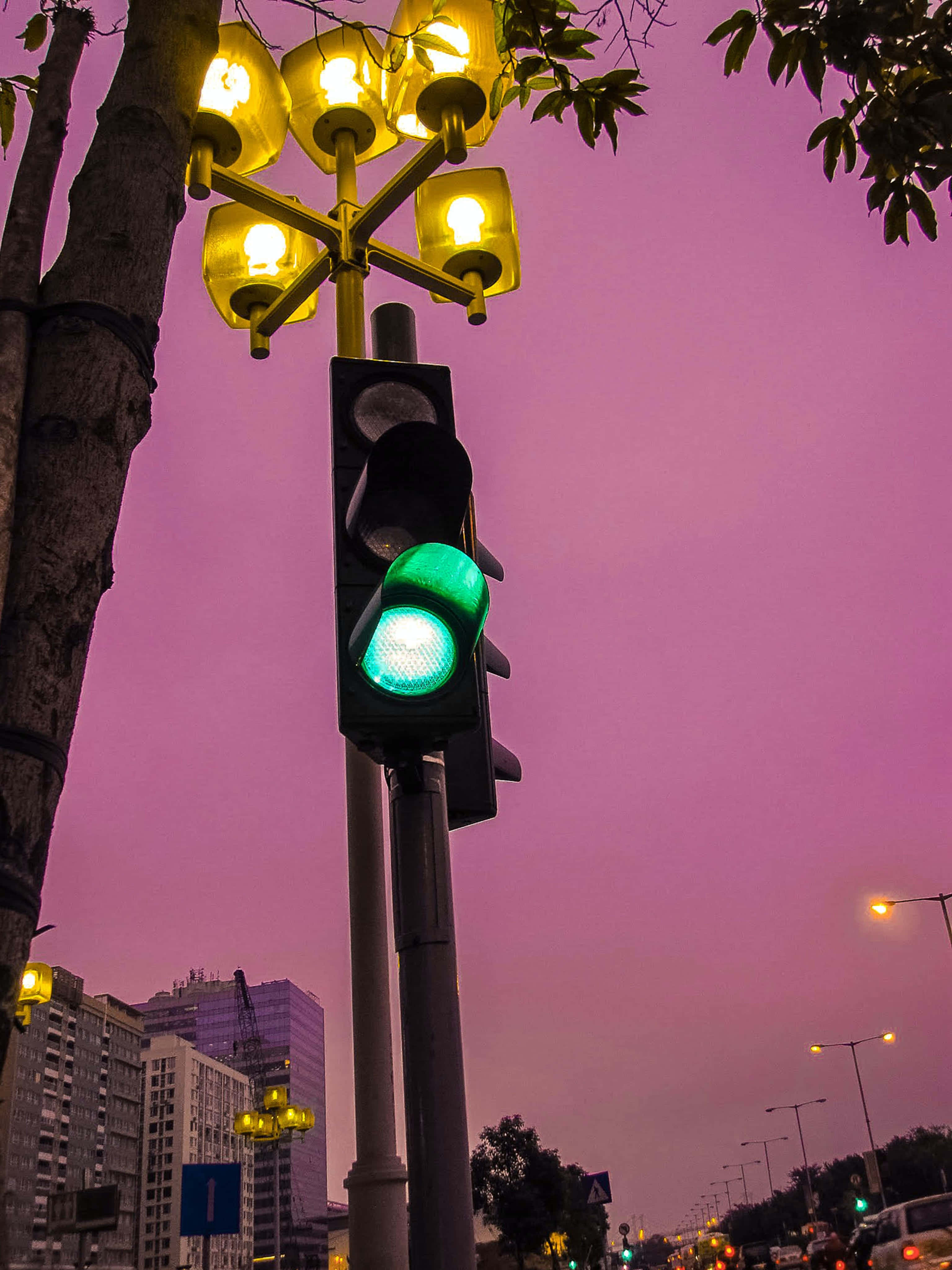 夜空 桌布 壁紙 — 一個發光的綠色交通號誌，襯著充滿活力的紫色暮色天空，被樹枝和城市建築框住。