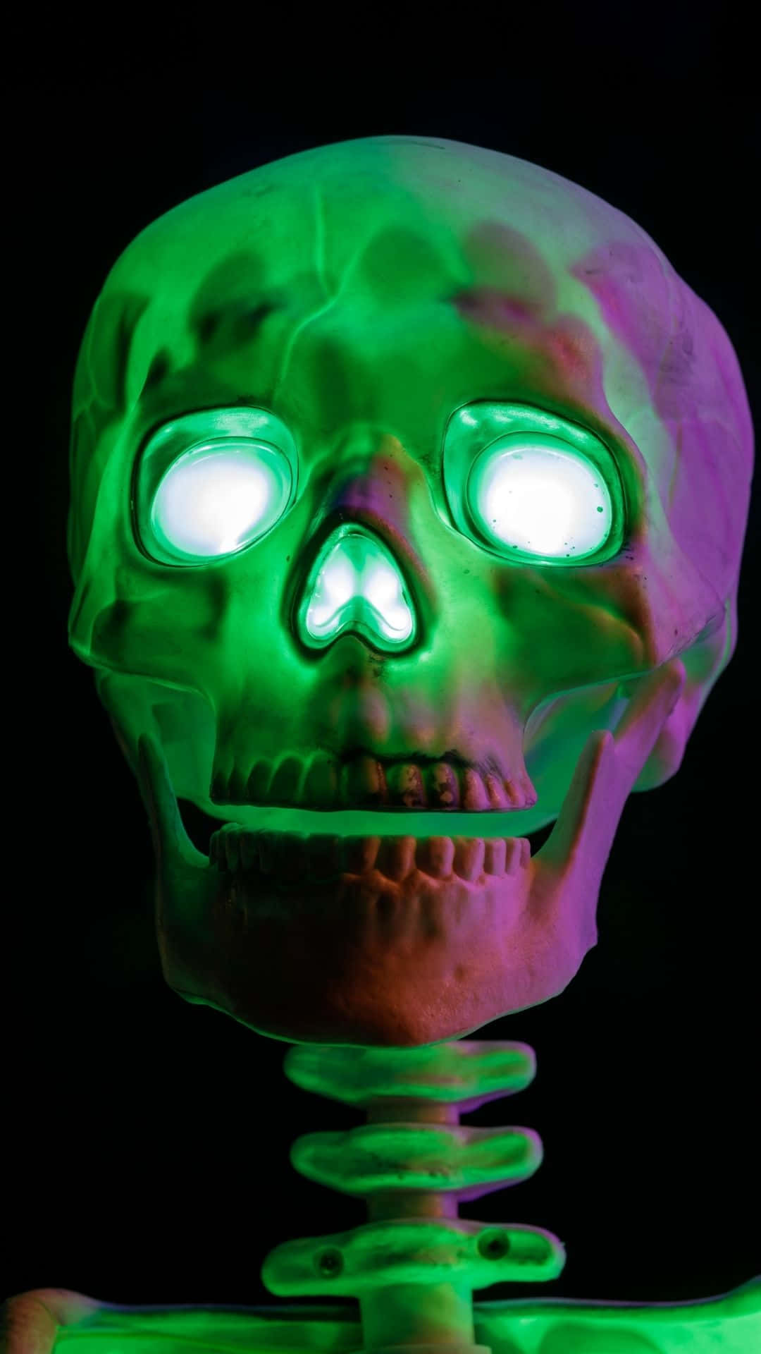 Glow In The Dark 桌布 壁紙 — 一個發光的綠色和紫色骷髏頭，帶有明亮的白色眼睛，背景為黑色。