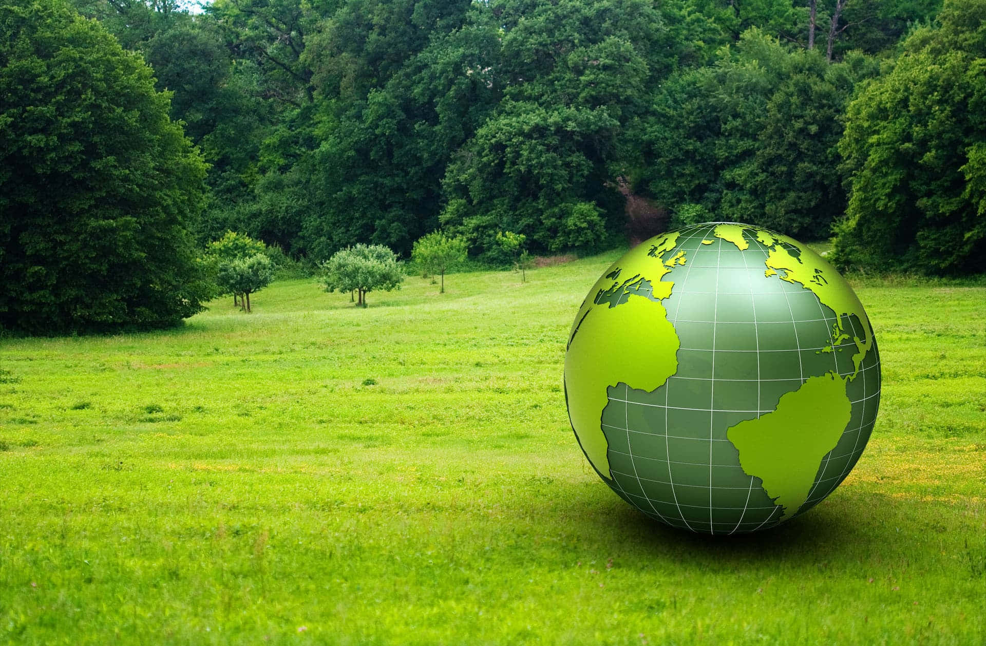 Green Economy 桌布 壁紙 — 一個發光的綠色地球儀放在一片生機勃勃的草地上，周圍是茂密的森林，在明亮的日光下。