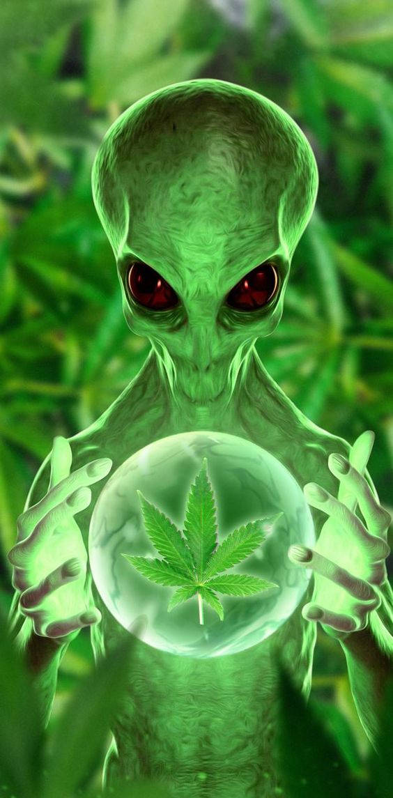 Cool Alien 桌布 壁紙 — 一個發光的綠色外星人，紅色的眼睛，手持一個含有大麻葉的水晶球，背景是模糊的樹葉。