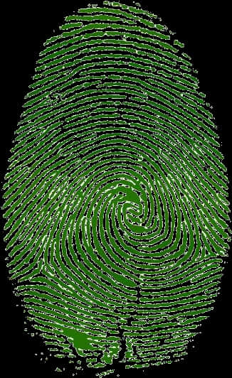 Identity 桌布 壁紙 — 一個發光的綠色指紋圖案在純黑色背景上脫穎而出，帶有複雜的脊線和漩渦。