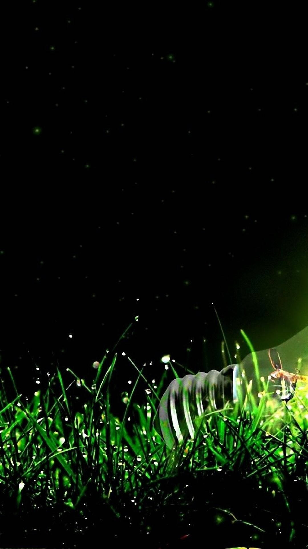 Grass 桌布 壁紙 — 一個發光的綠色燈泡放在帶露水的草地上，星空下螢火蟲在附近飛舞。