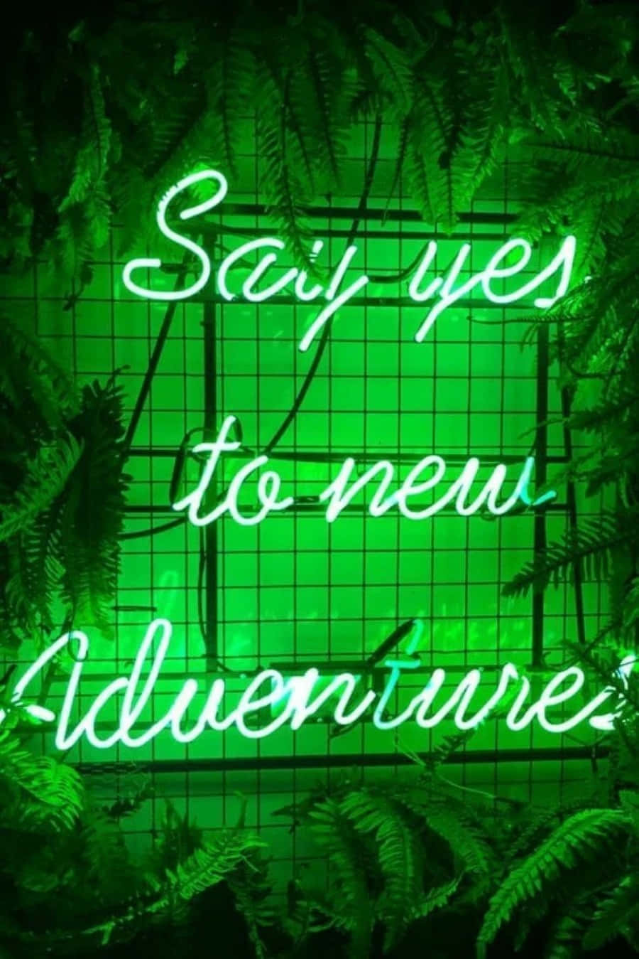 綠色美學 桌布 壁紙 — 一個發光的綠色霓虹燈牌，上面寫著「Say yes to new Adventure」，周圍環繞著茂密的蕨類植物，背景是網格牆。