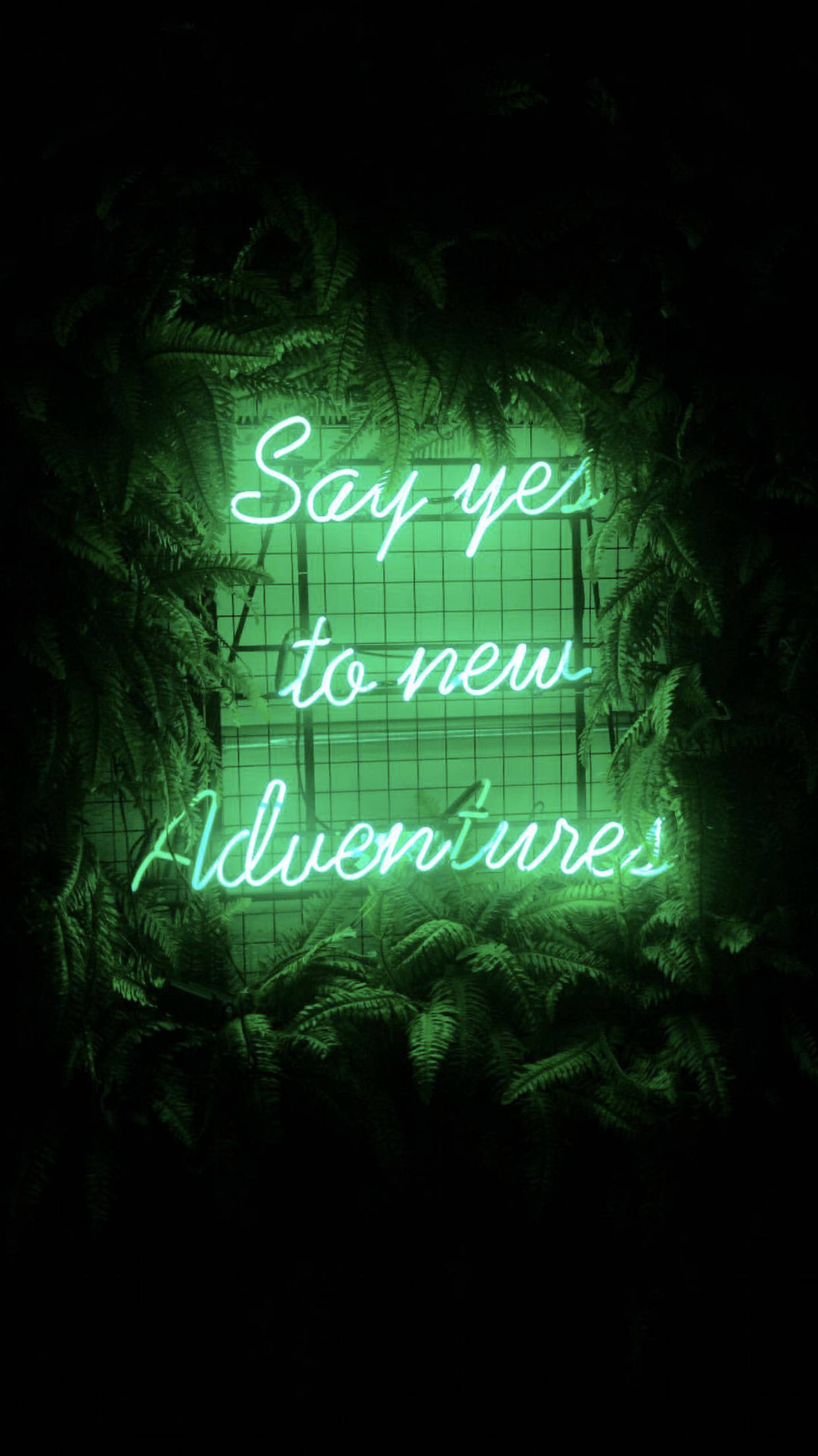 淺綠色系 桌布 壁紙 — 一個發光的綠色霓虹燈牌，上面寫著「Say yes to new Adventures」，被茂密的蕨類植物環繞，背景為深色。