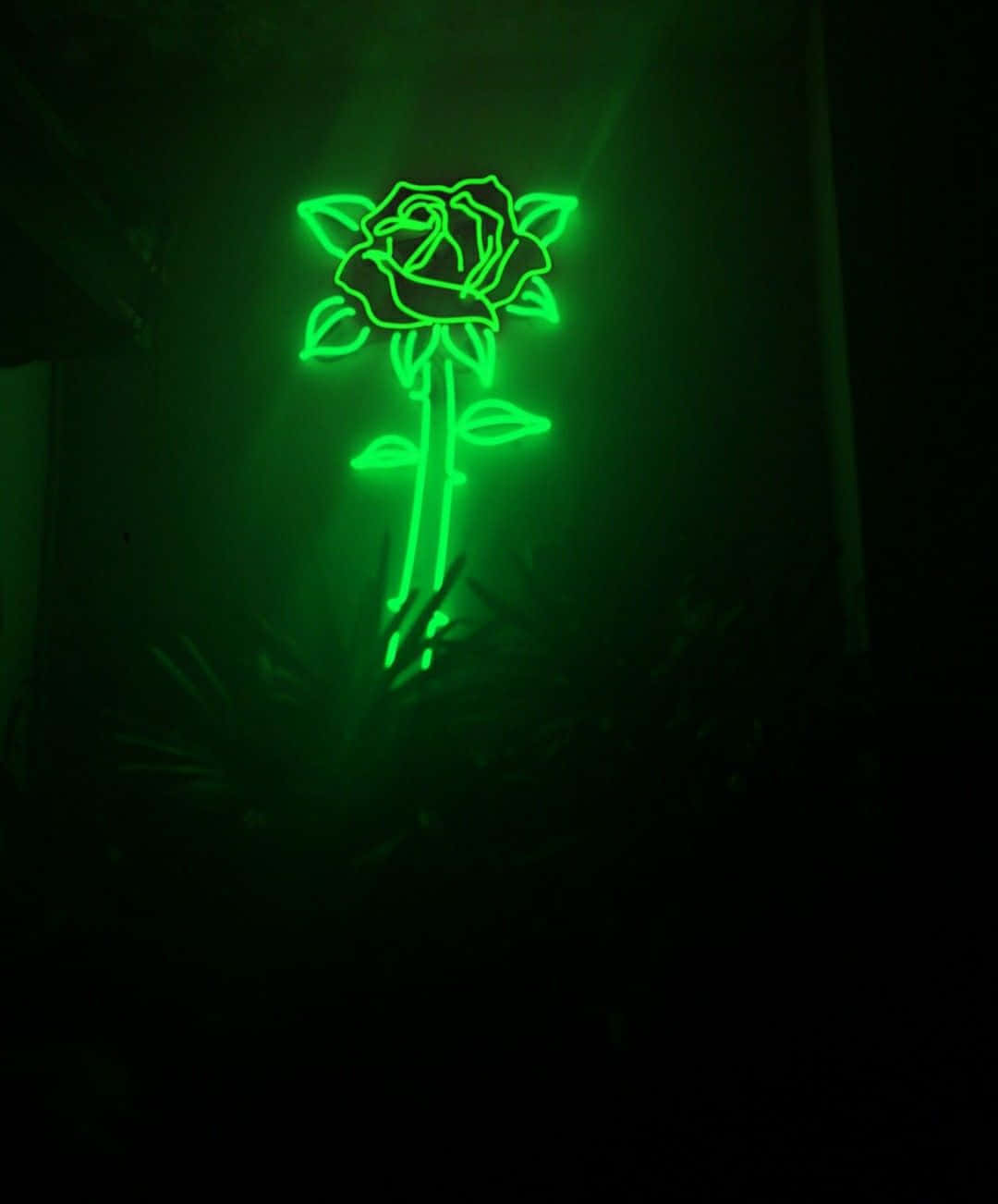 Green Led 桌布 壁紙 — 一個發光的綠色霓虹燈玫瑰形狀標誌，以其鮮豔的輪廓照亮了黑暗的房間。