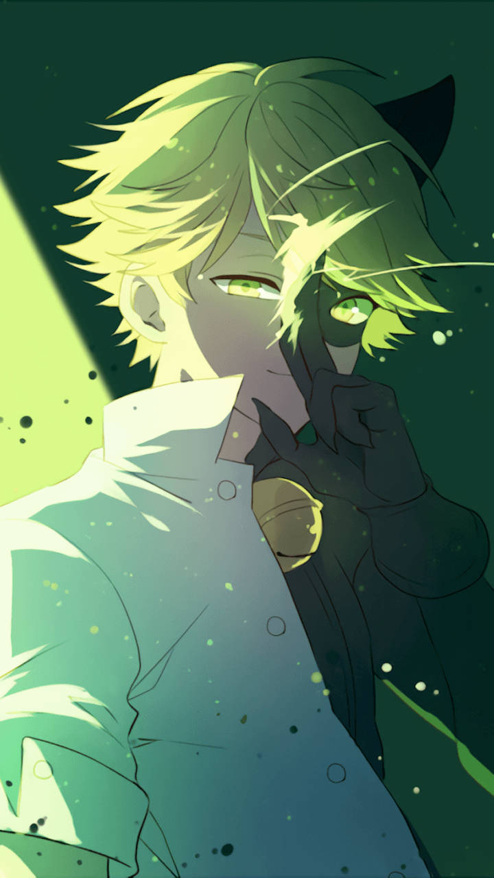 Cat Noir 桌布 壁紙 — 一個發光的綠色頭髮貓耳動漫角色，在深綠色背景上拿著一個鈴鐺，周圍有光粒子。