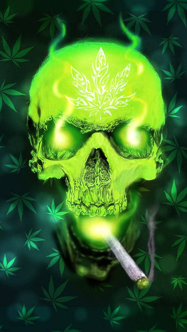 酷炫大麻 桌布 壁紙 — 一個發光的綠色骷髏頭，帶有大麻葉刺青，在充滿大麻葉的黑暗背景下抽著大麻煙。
