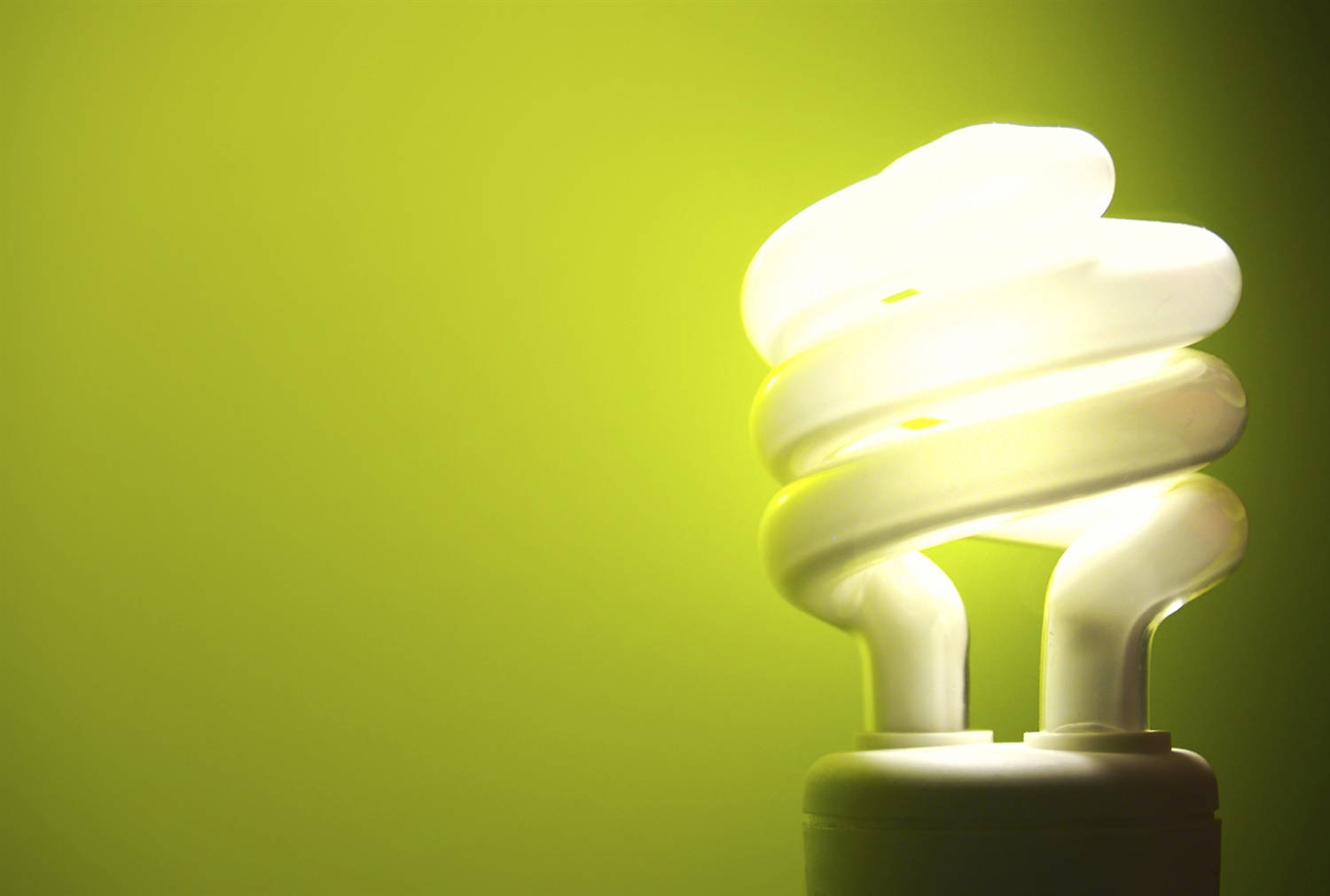 Light Bulb 桌布 壁紙 — 一個發光的緊湊型螢光燈泡在純青檸綠色背景上發出溫暖的光。