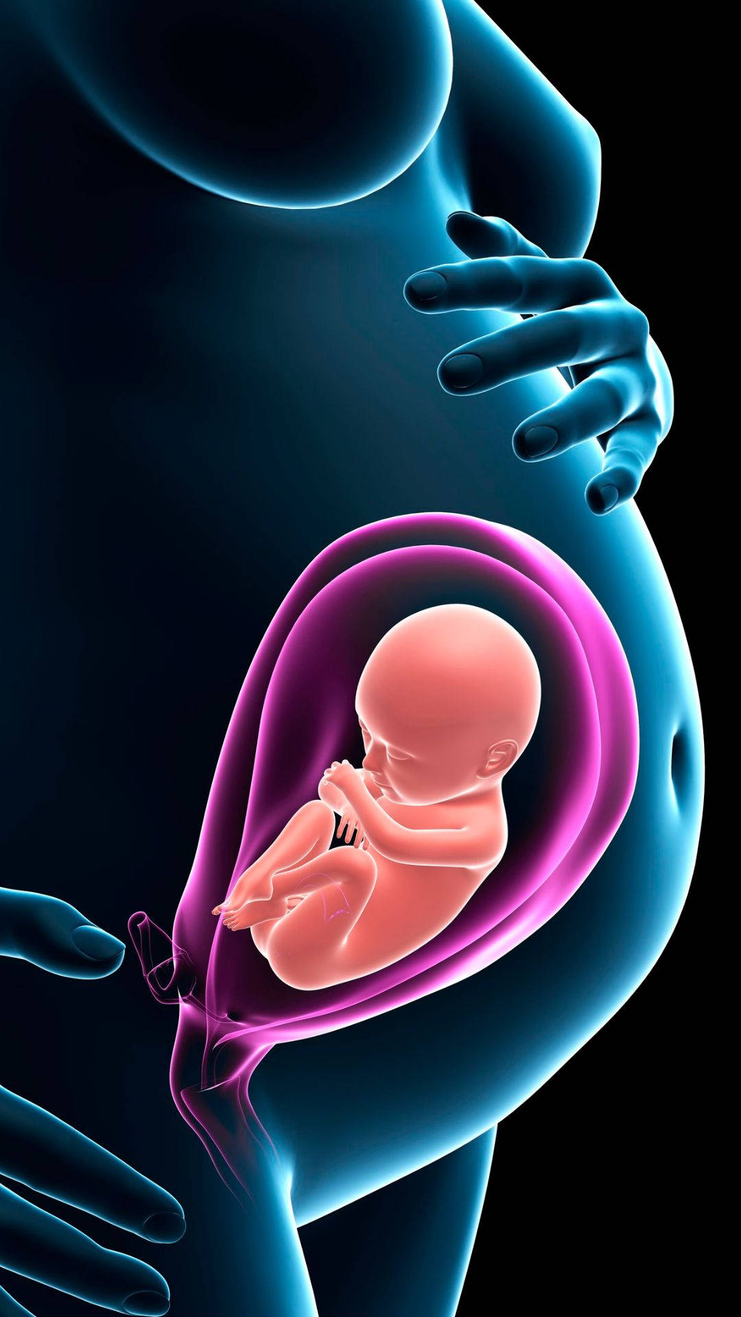 Pregnant 桌布 壁紙 — 一個發光的胎兒在透明的羊膜囊中，被懷抱在孕婦發光的肚子裡，雙手輕輕放在附近。