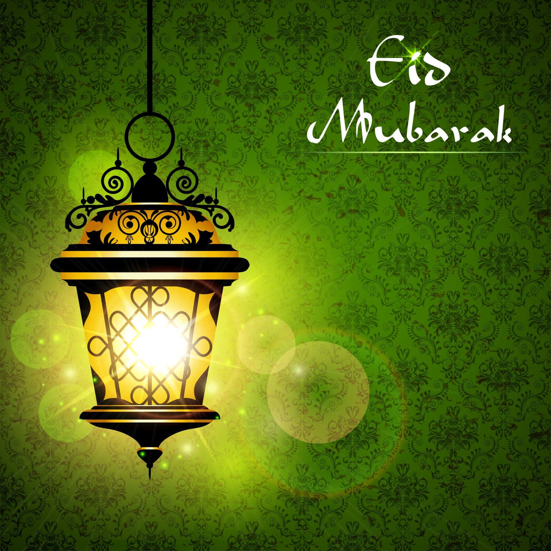 Eid 桌布 壁紙 — 一個發光的華麗燈籠掛在華麗的綠色錦緞壁紙上，上面用優雅的白色寫著「Eid Mubarak」。