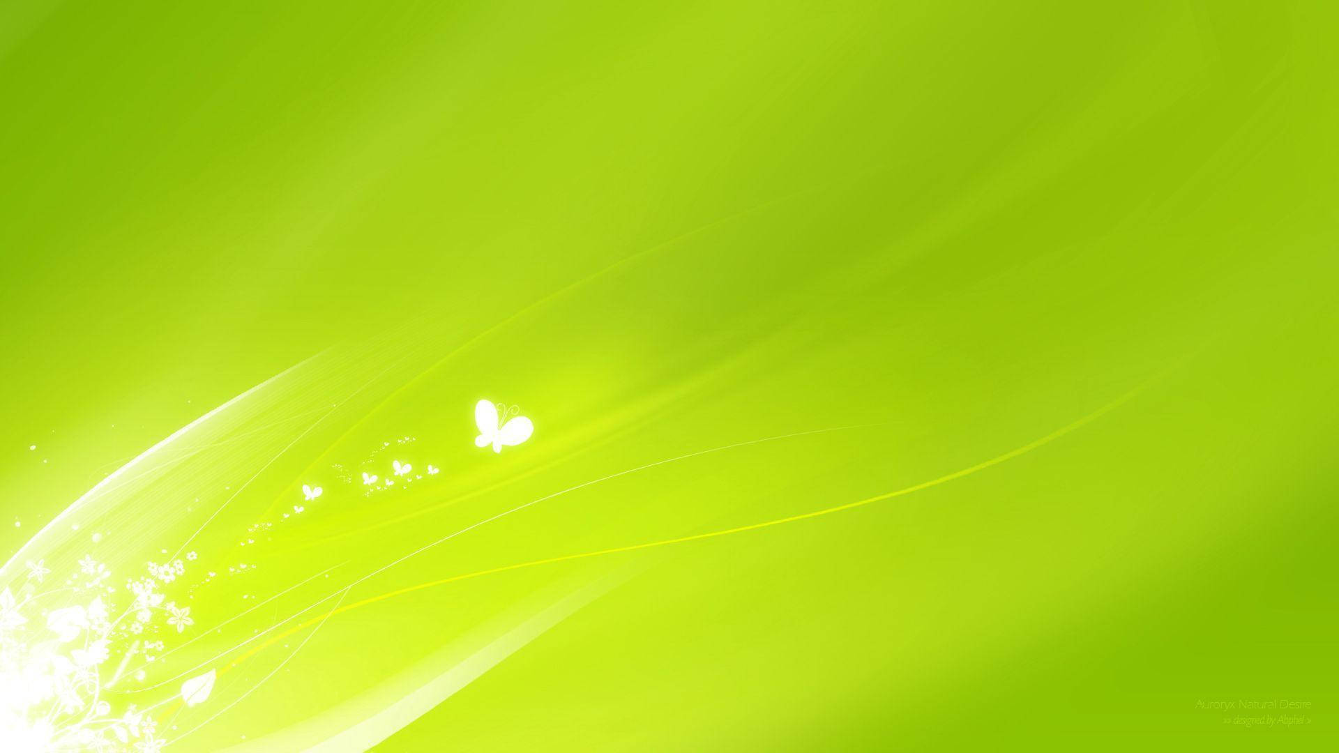 淺綠色系 桌布 壁紙 — 一個發光的萊姆綠色抽象背景，帶有流動的光線條紋和一隻發光的白色蝴蝶。