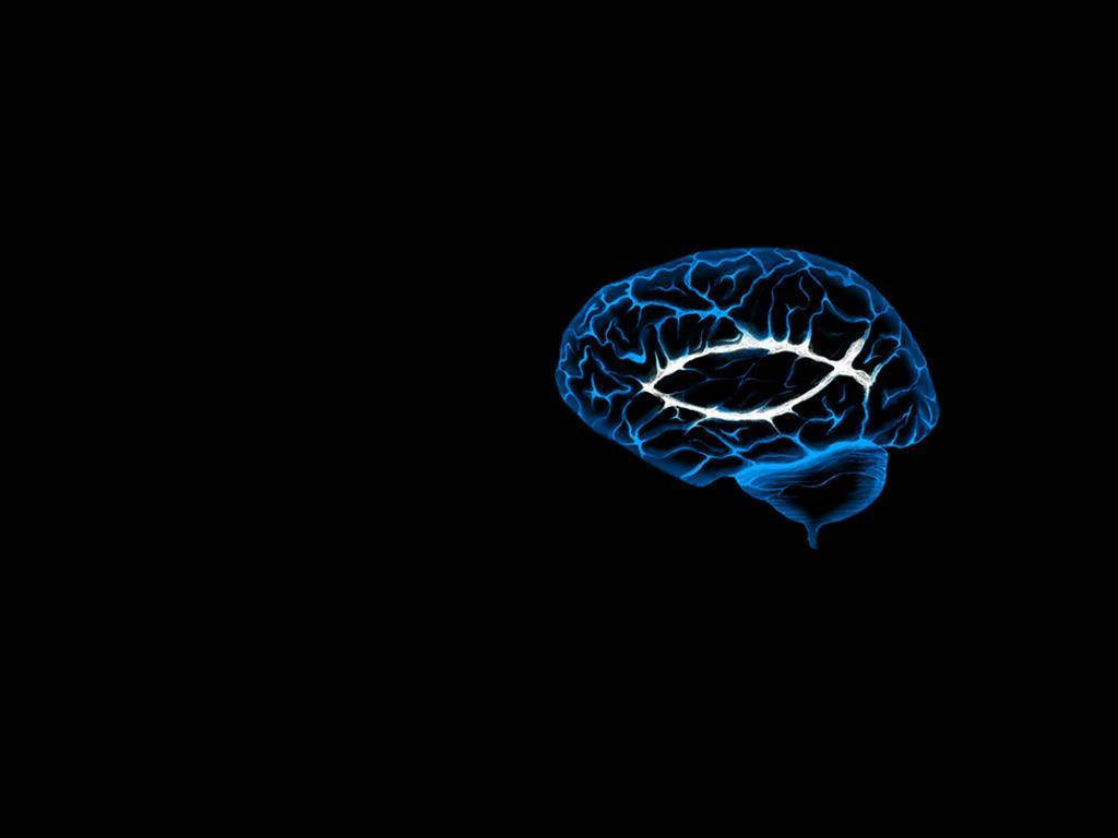Brain 桌布 壁紙 — 一個發光的藍色大腦，帶有白色神經通路，在黑色虛空中脈動。