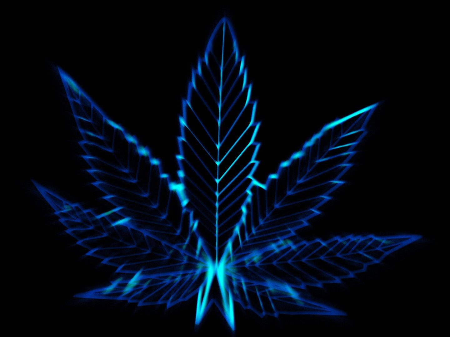 酷炫大麻 桌布 壁紙 — 一個發光的藍色霓虹大麻葉，帶有銳利的幾何線條，在純黑色背景上脈動。