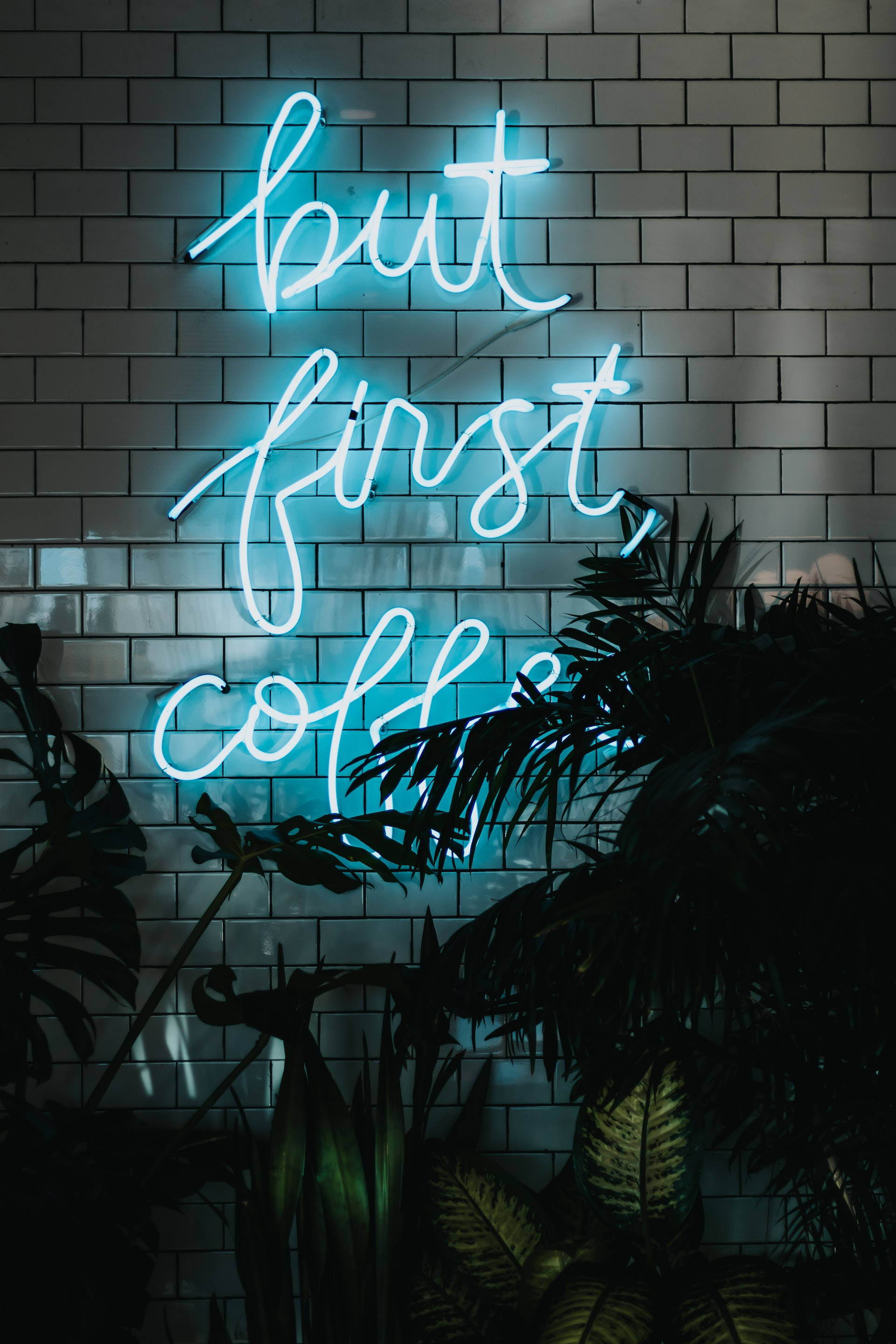 霓虹藍動畫 桌布 壁紙 — 一個發光的藍色霓虹燈牌，上面寫著 but first coffee，照亮了被深色熱帶植物環繞的瓷磚牆。