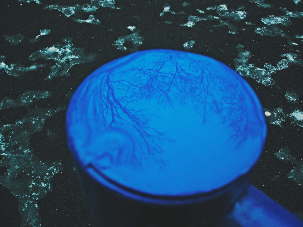 Electric Blue 桌布 壁紙 — 一個發光的藍色馬克杯在深色紋理背景上反射出光禿禿的樹枝。
