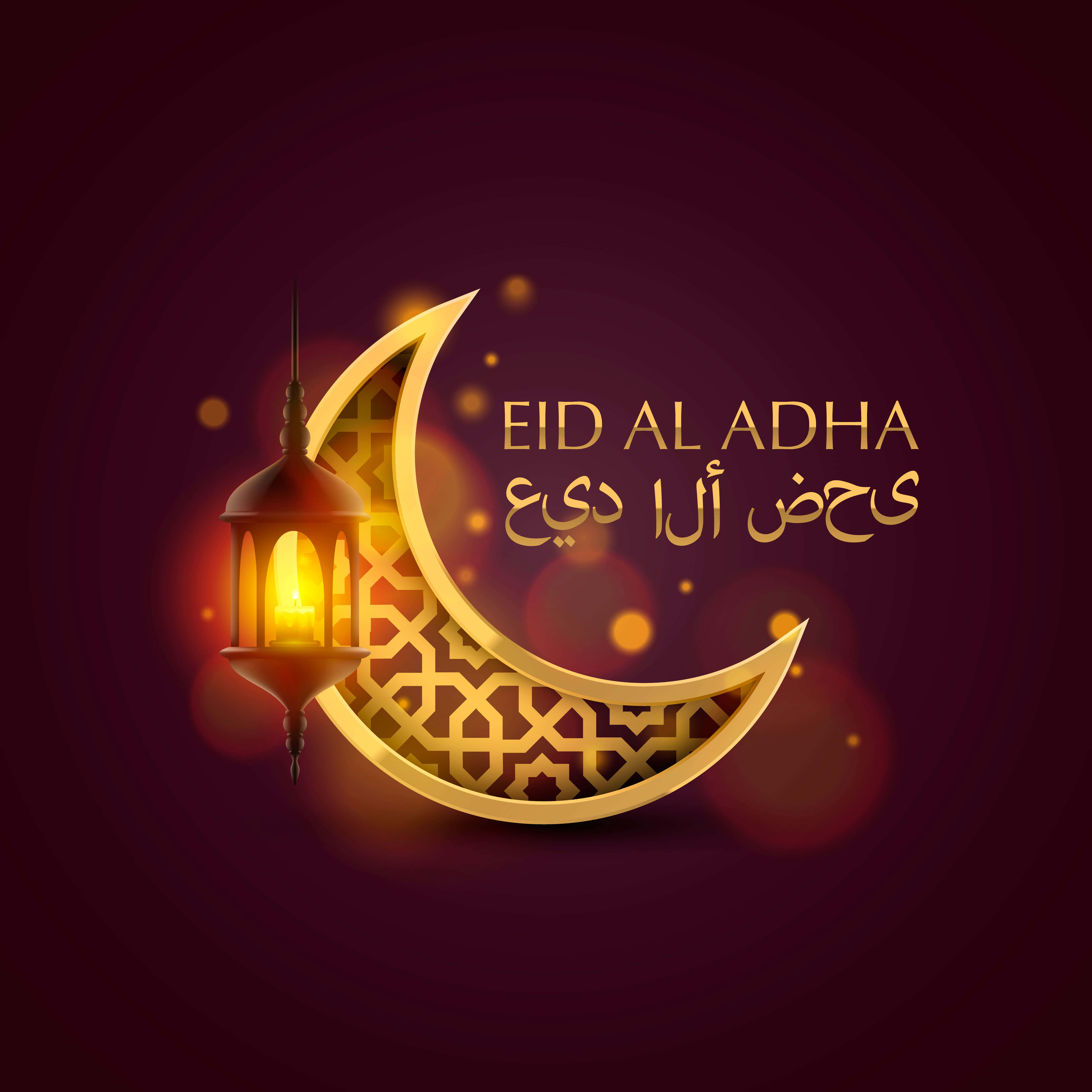 Eid 桌布 壁紙 — 一個發光的金色新月，帶有複雜圖案，在深栗色背景上拿著一個溫暖的燈籠，背景有散景燈光。