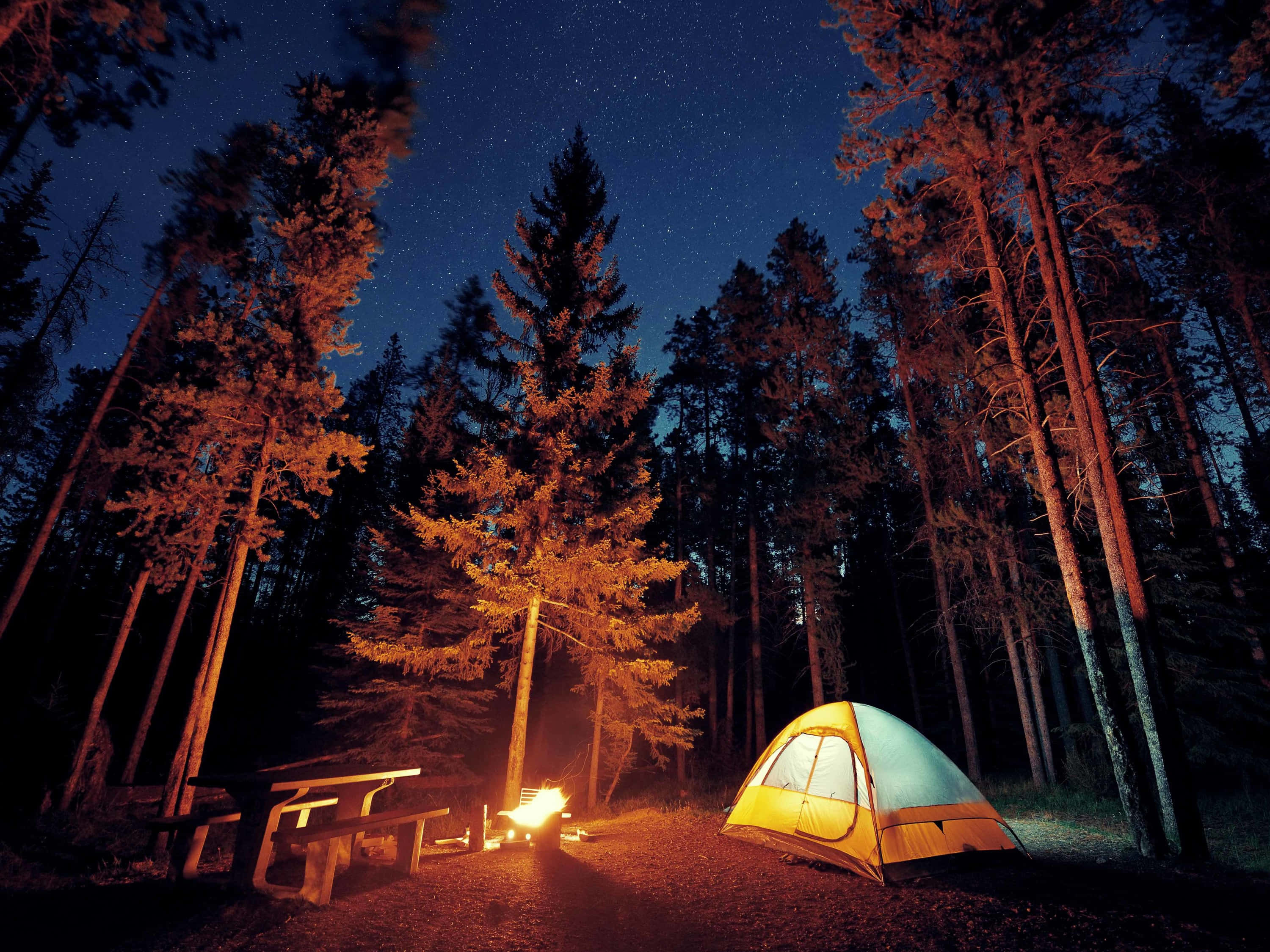 Camping 桌布 壁紙 — 一個發光的黃色帳篷和營火照亮了星空下森林中的一片空地。
