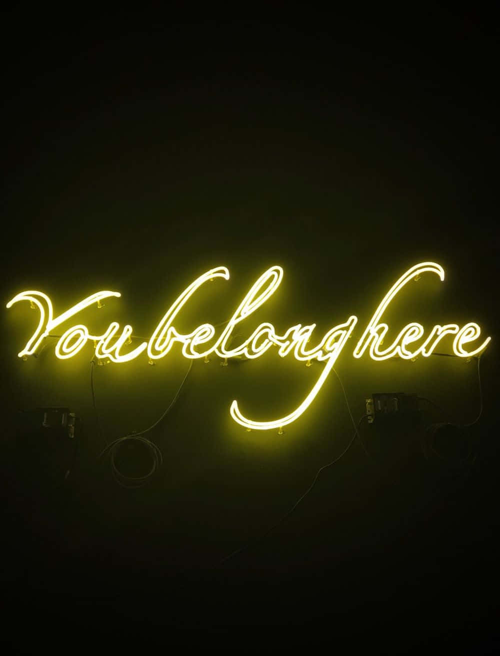 桌布 壁紙 — 一個發光的黃色霓虹燈牌，上面寫著「You belong here」，背景是暗色牆壁，可見電線。