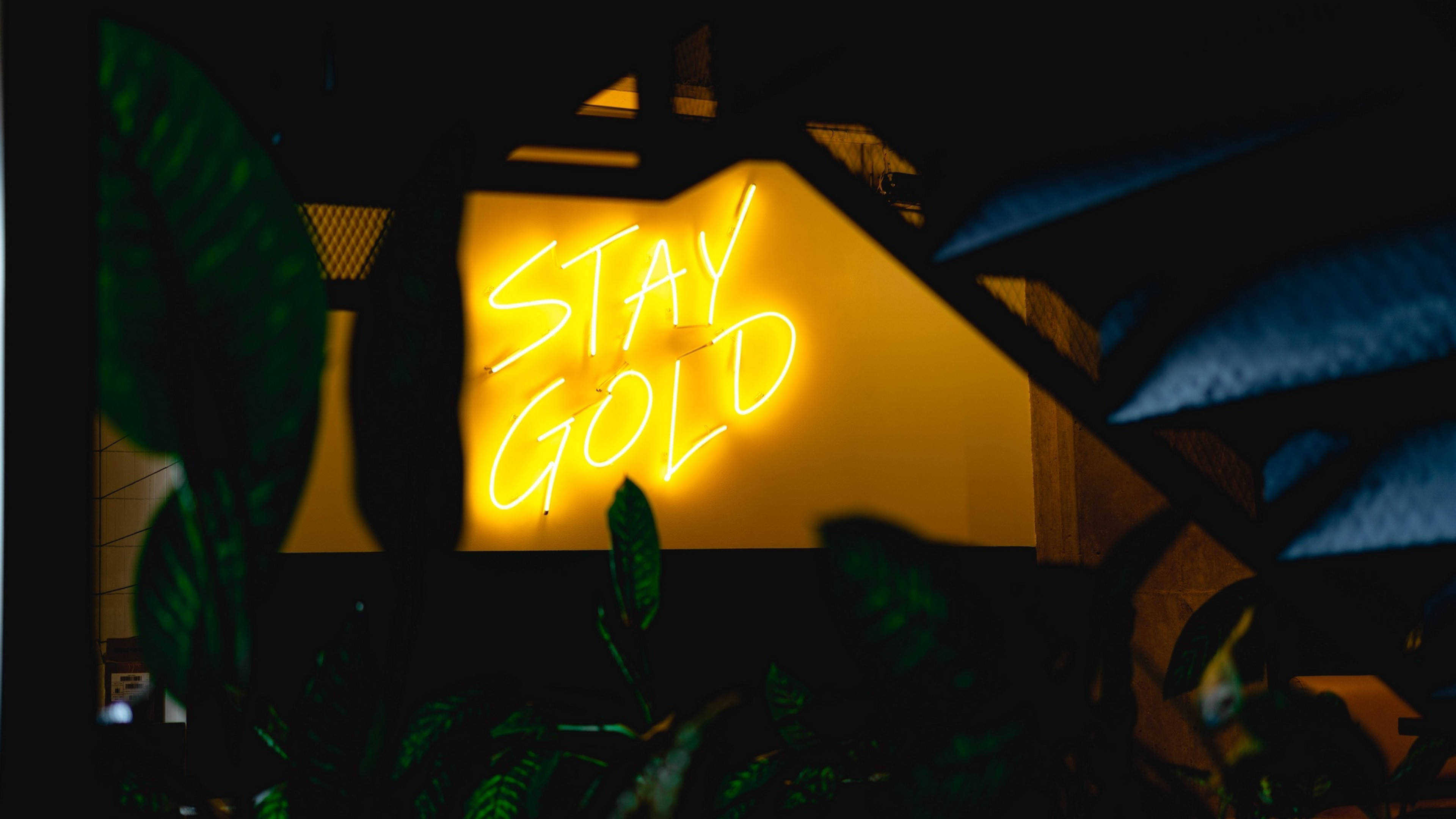 螢光黃 桌布 壁紙 — 一個發光的黃色霓虹燈牌，上面寫著「STAY GOLD」，在昏暗的室內空間中穿過深色樹葉散發出溫暖的光芒。