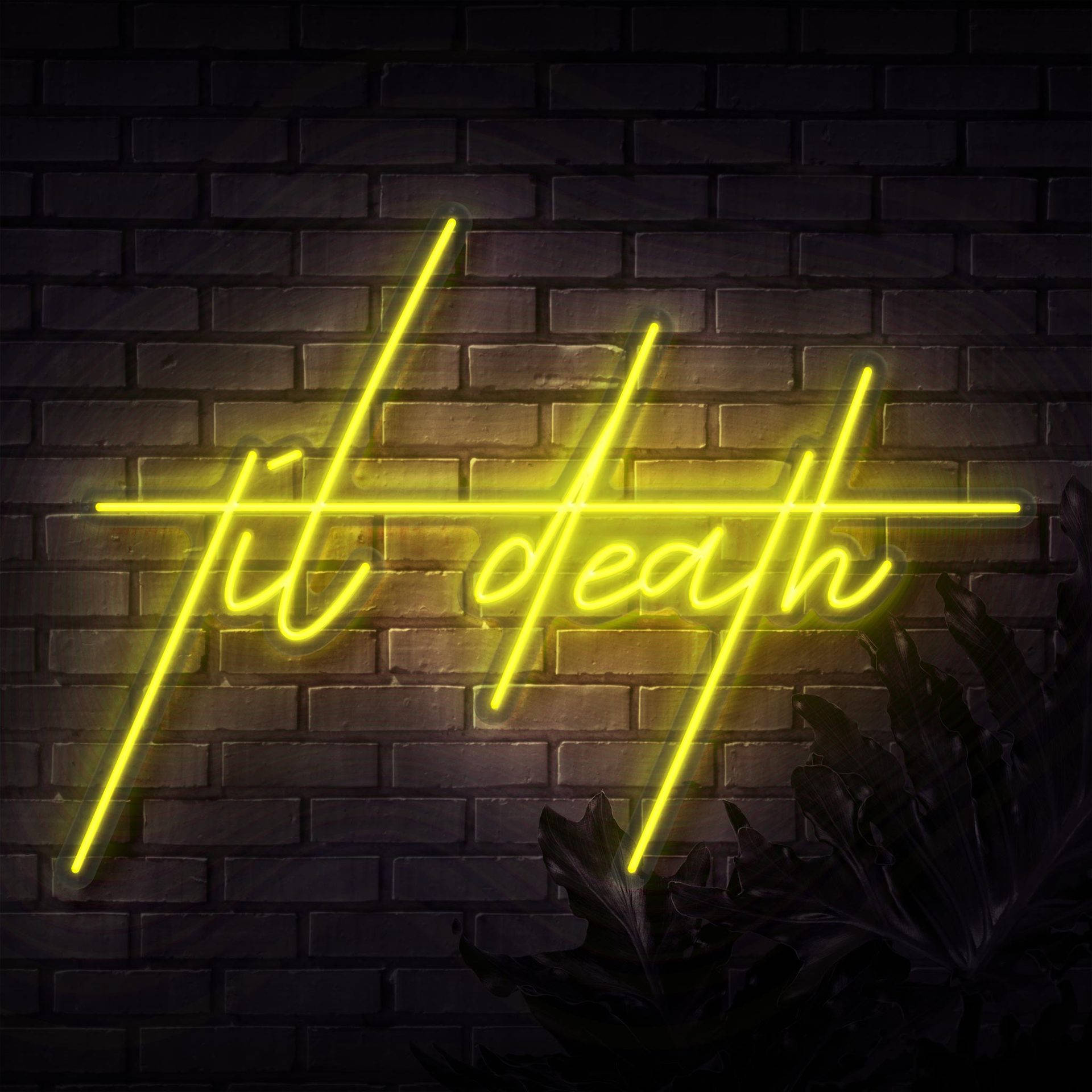 螢光黃 桌布 壁紙 — 一個發光的黃色霓虹燈牌，以草書寫著「til death」，背景是深色磚牆，下方有陰影的樹葉。