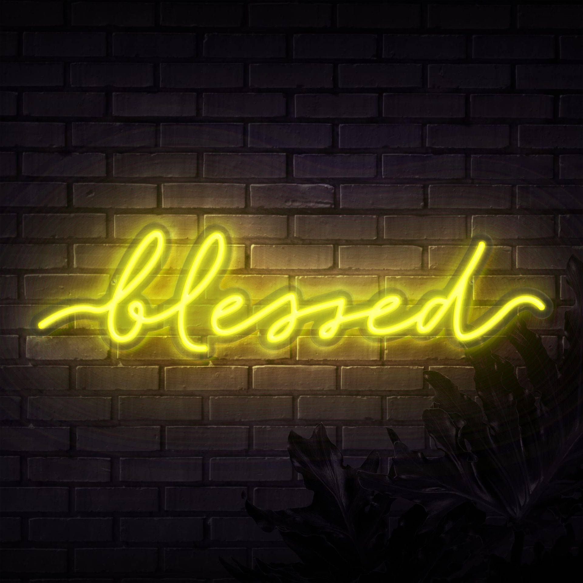 螢光黃 桌布 壁紙 — 一個發光的黃色霓虹燈牌拼出 blessed，照亮了下方帶有剪影葉子的深色磚牆。