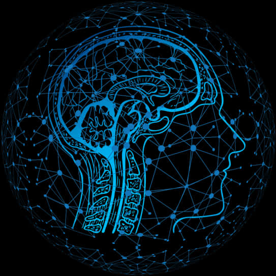 artificial intelligence 桌布 壁紙 — 一個發光藍色數位插圖，描繪人類頭部和大腦被網路球體包裹，背景為黑色。