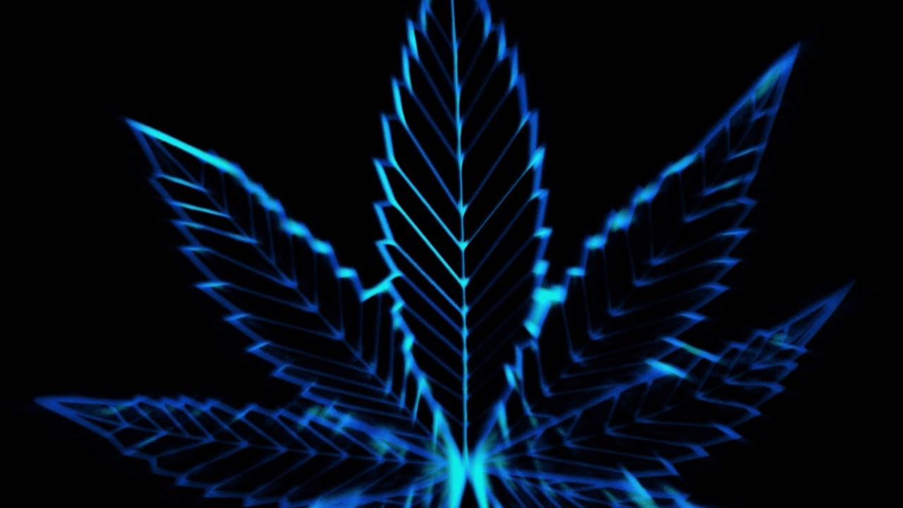 Trippy Dark 桌布 壁紙 — 一個發光藍色霓虹大麻葉，帶有銳利的幾何線條，在黑色背景上脈動。