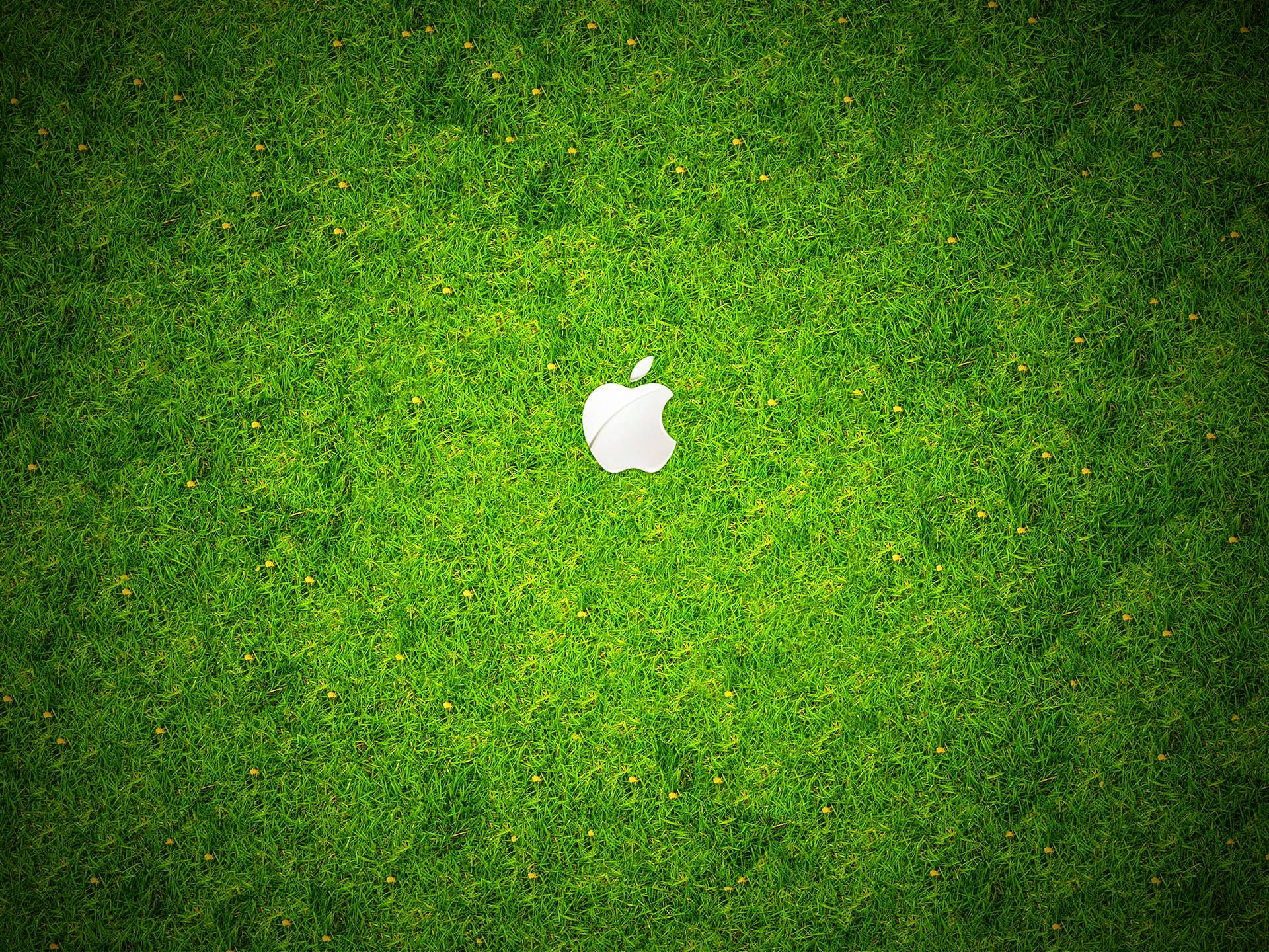 Grass 桌布 壁紙 — 一個白色Apple標誌居中放在一片翠綠的草地上，草地上點綴著細小的黃色花朵。